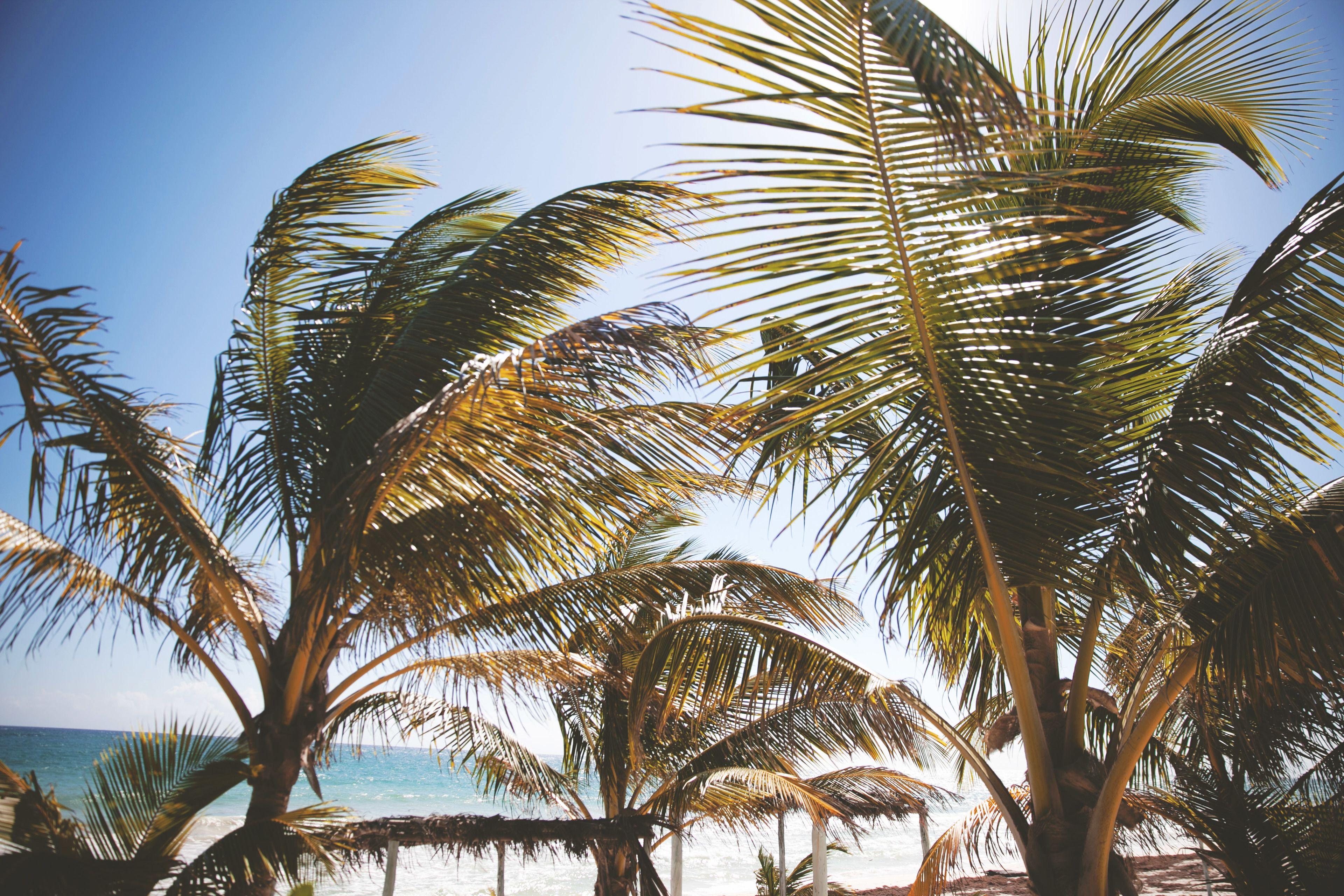 Hotel Nomade Temple Tulum