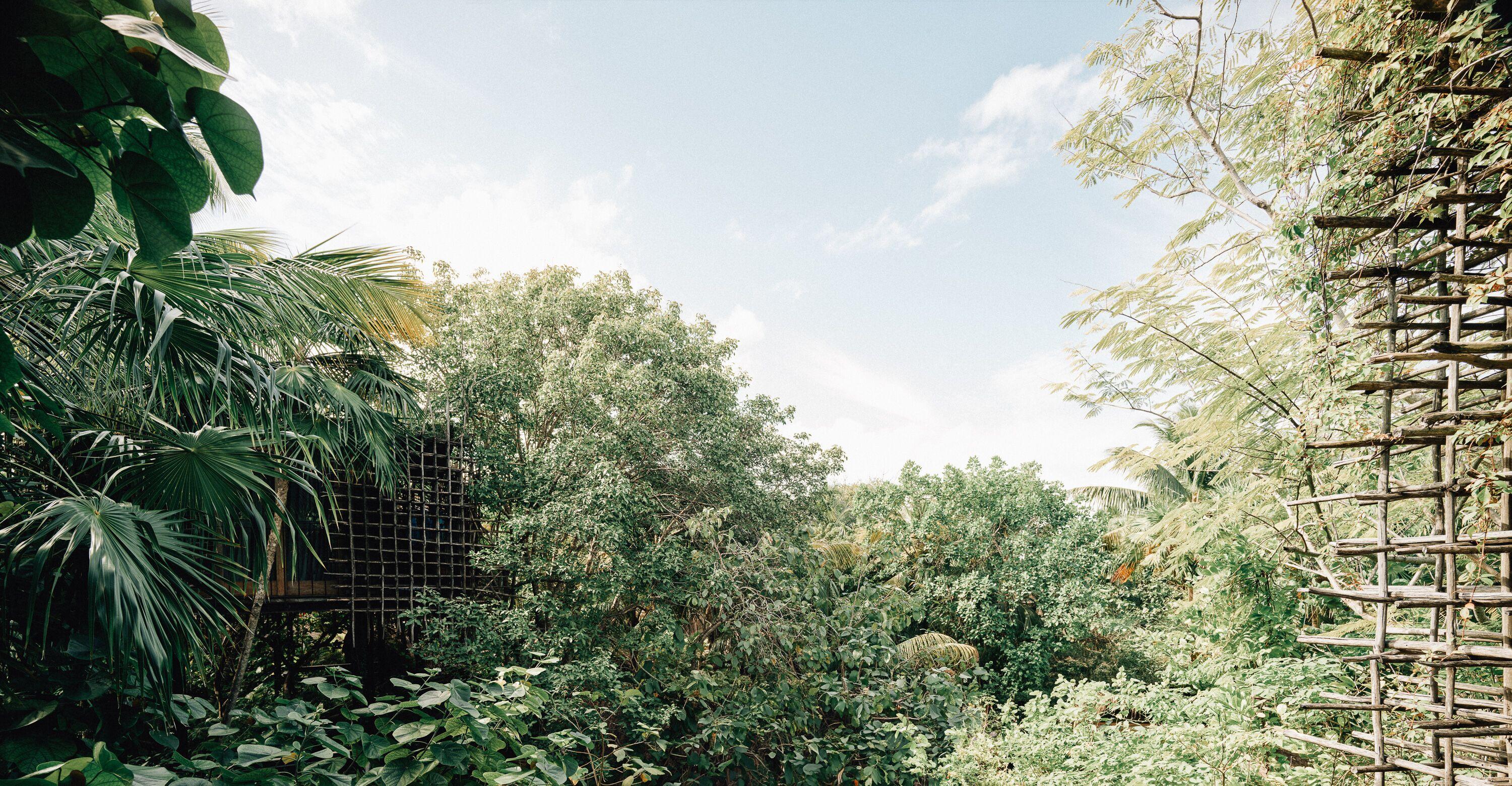 Hotel Nomade Temple Tulum