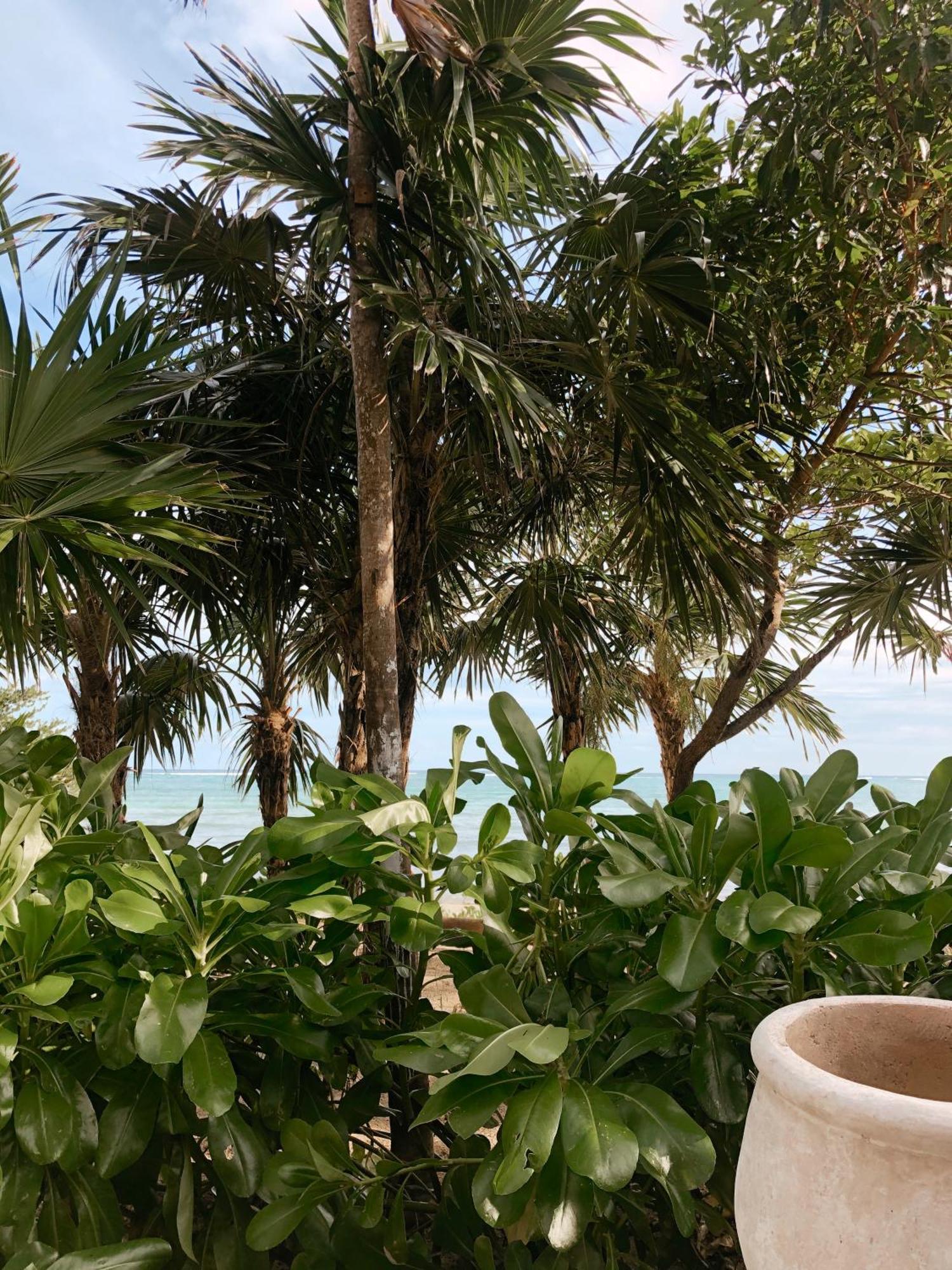 Bt Homes - - Modernos Con Elegancia Y Serenidad Frente Al Mar *