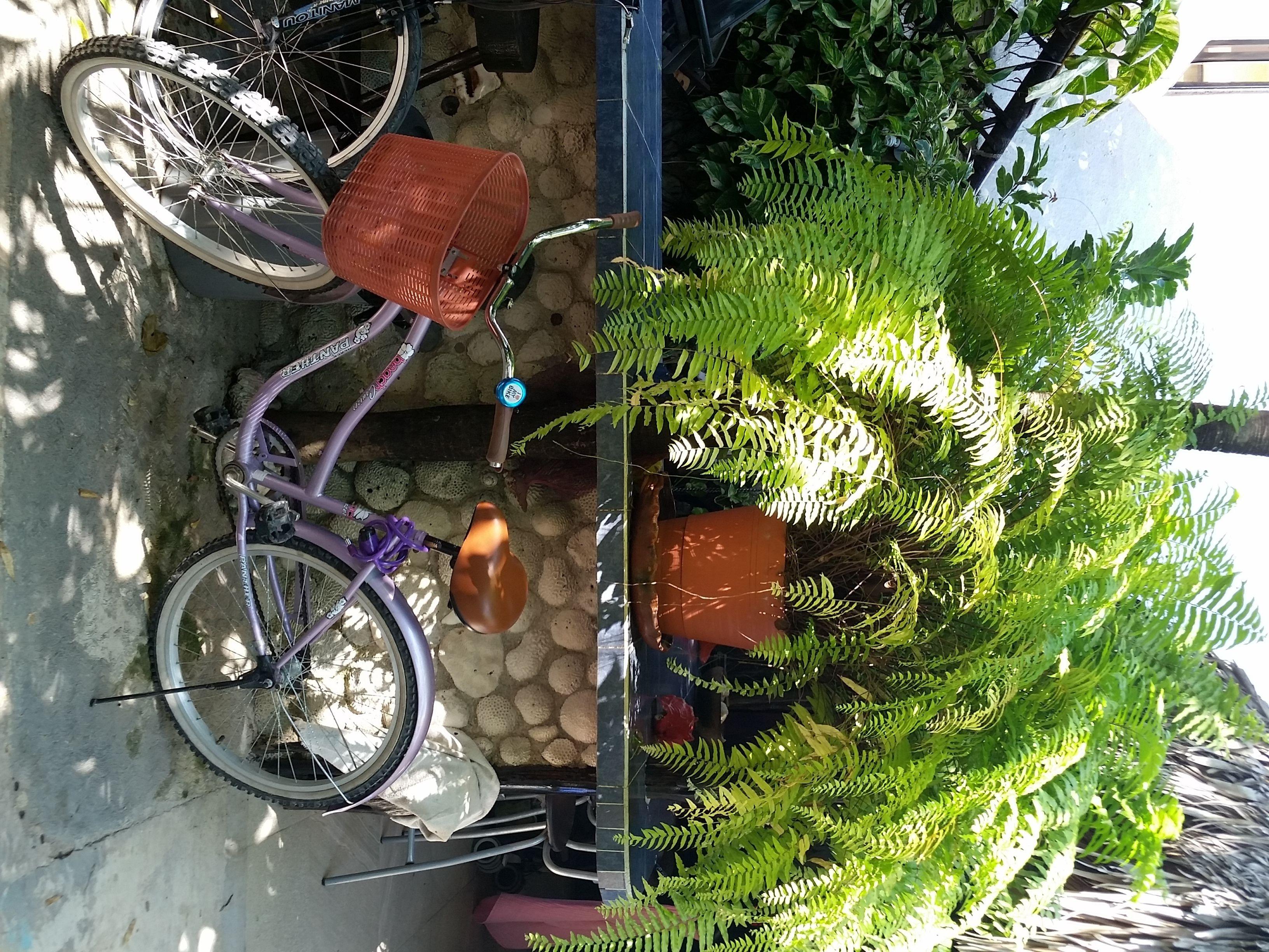 Rancho Tranquilo Tulum