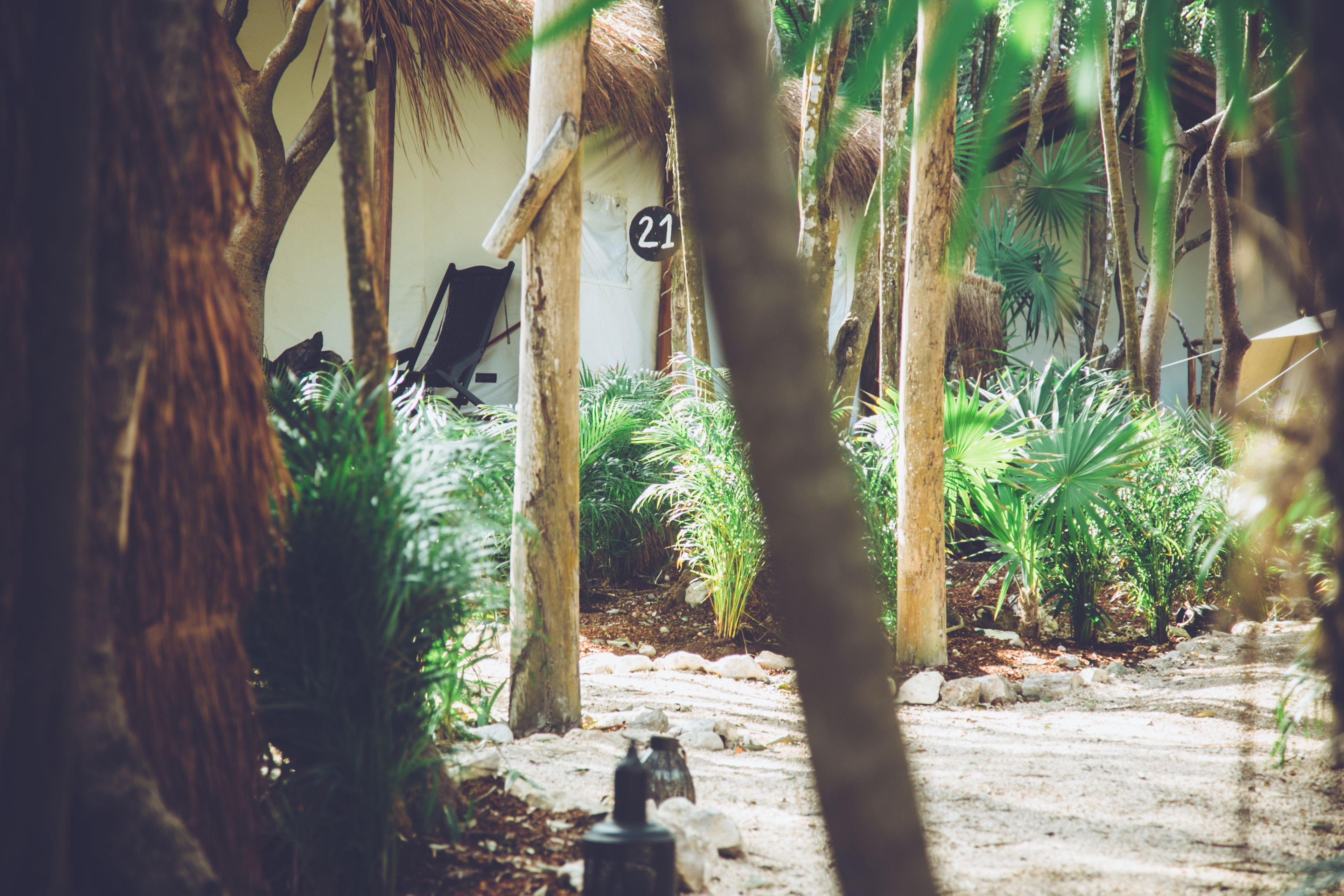 Our Habitas - Adults Only