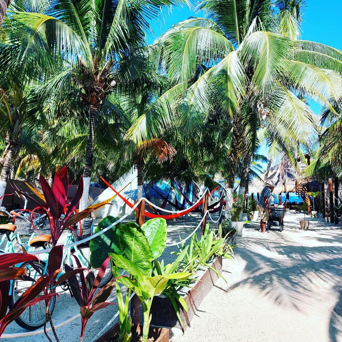 Playa Palmas Glamping 2* Tulum