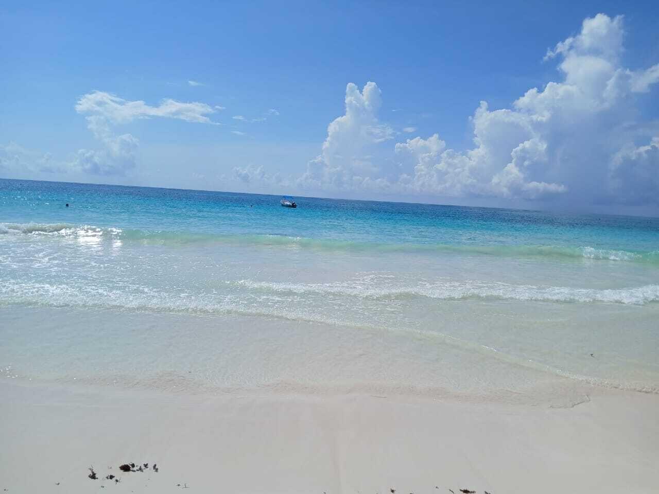 Playa Palmas Glamping Tulum