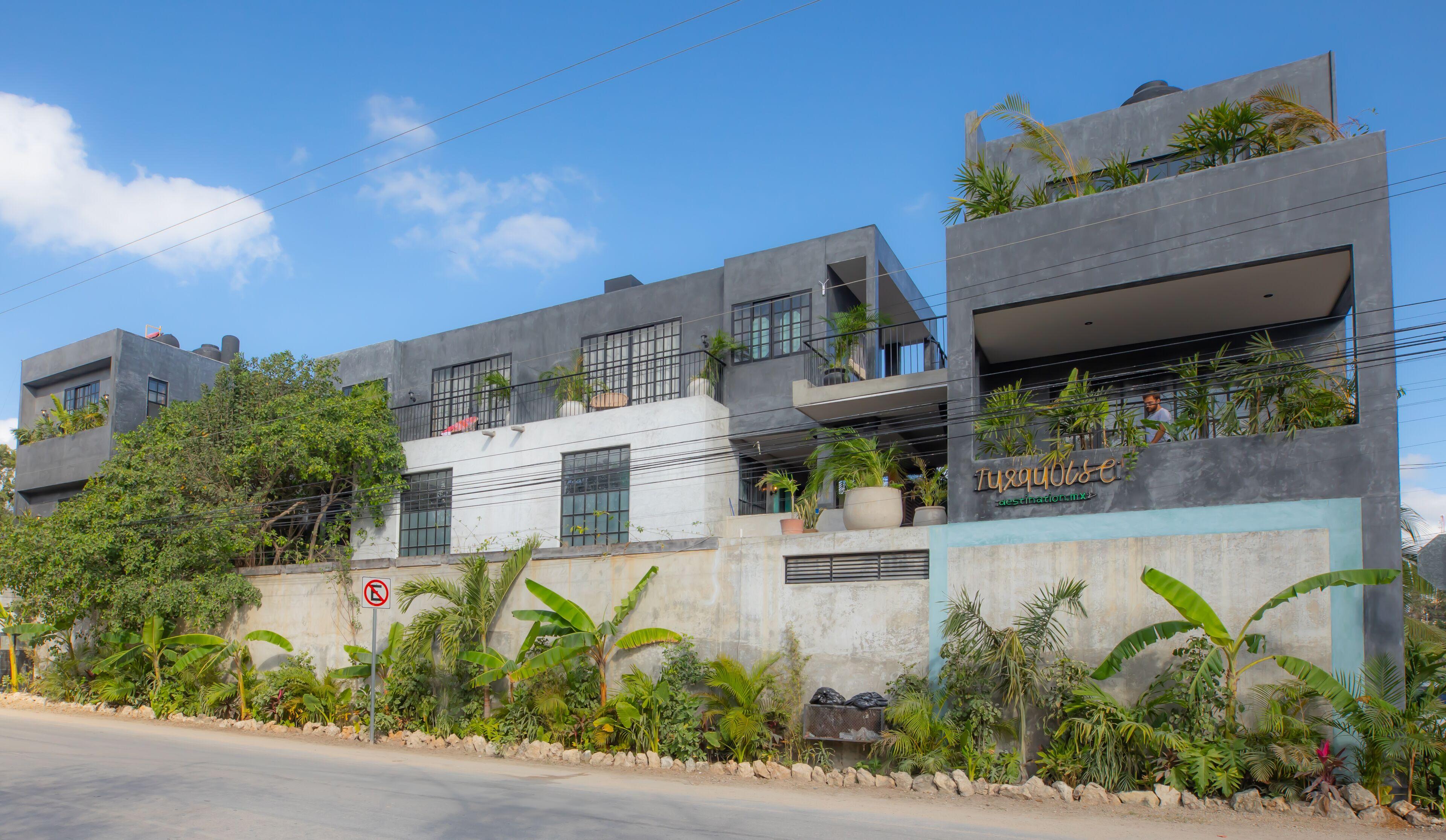 Turquoise (adults Only)