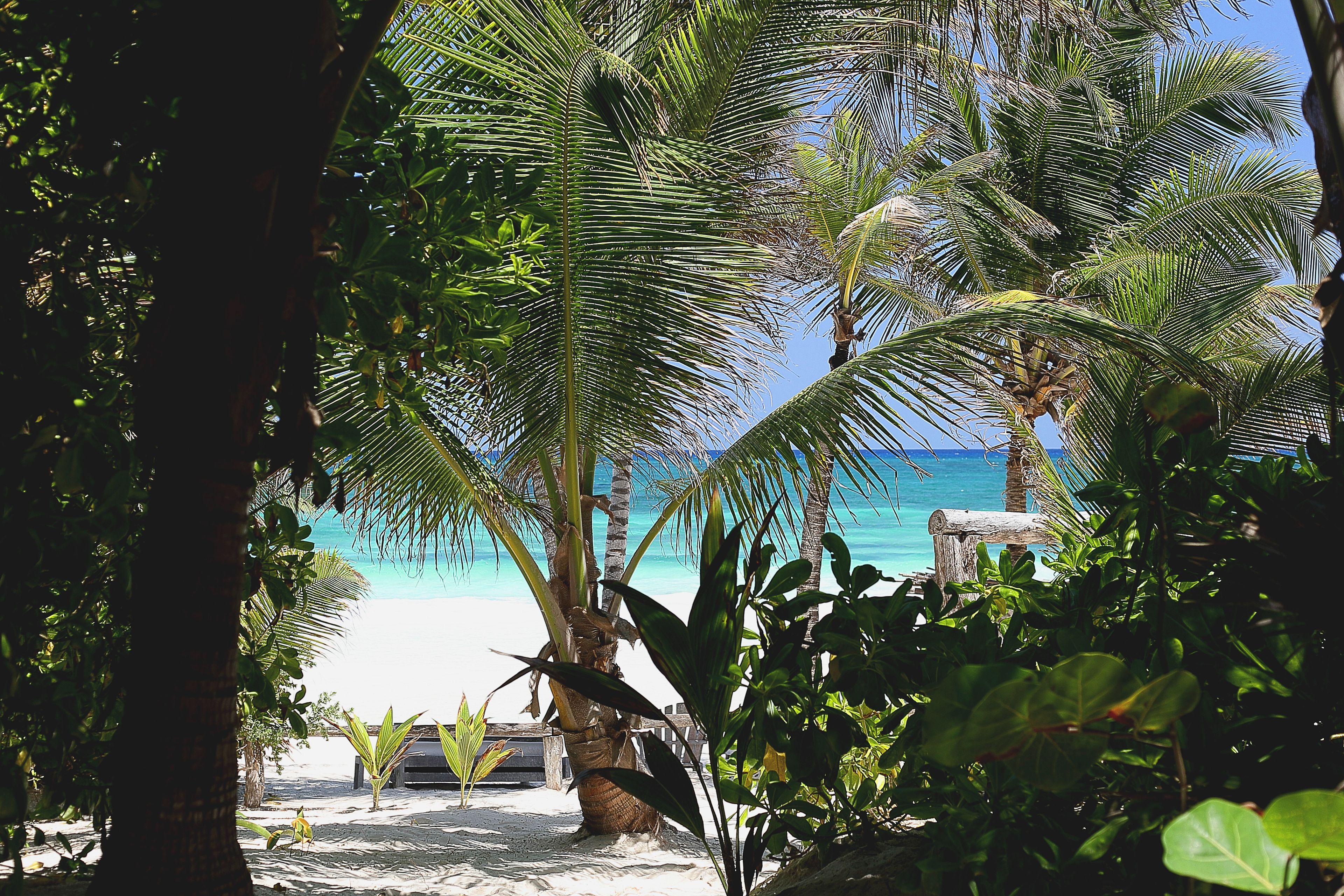 Hotel La Valise Tulum, Member Of Small Luxury