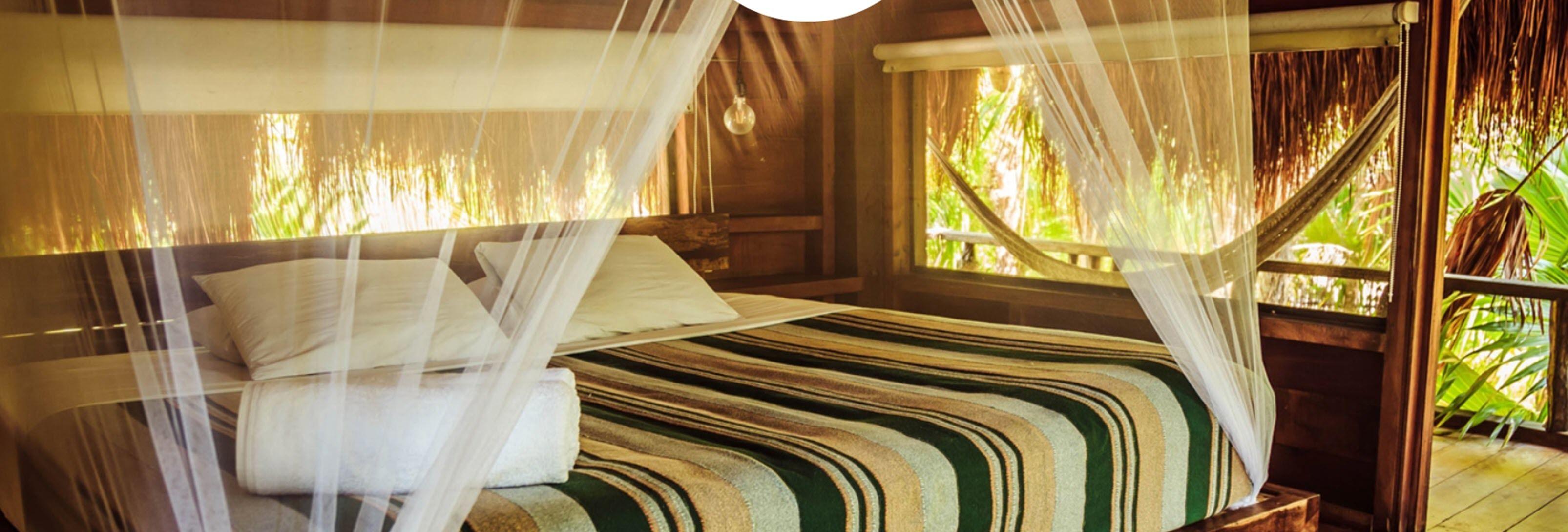 Vida Silvestre * Tulum