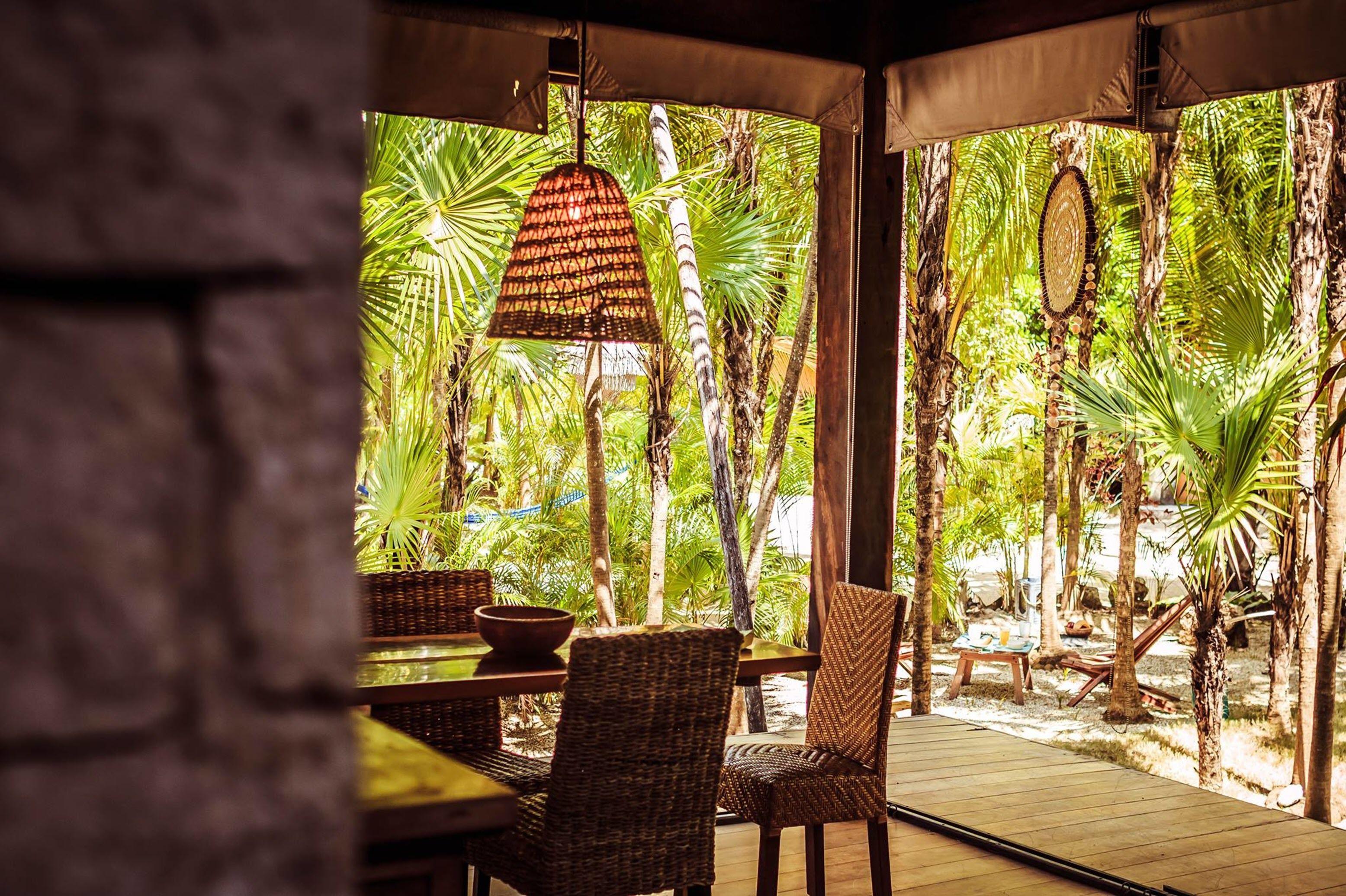 Lodge Vida Silvestre *