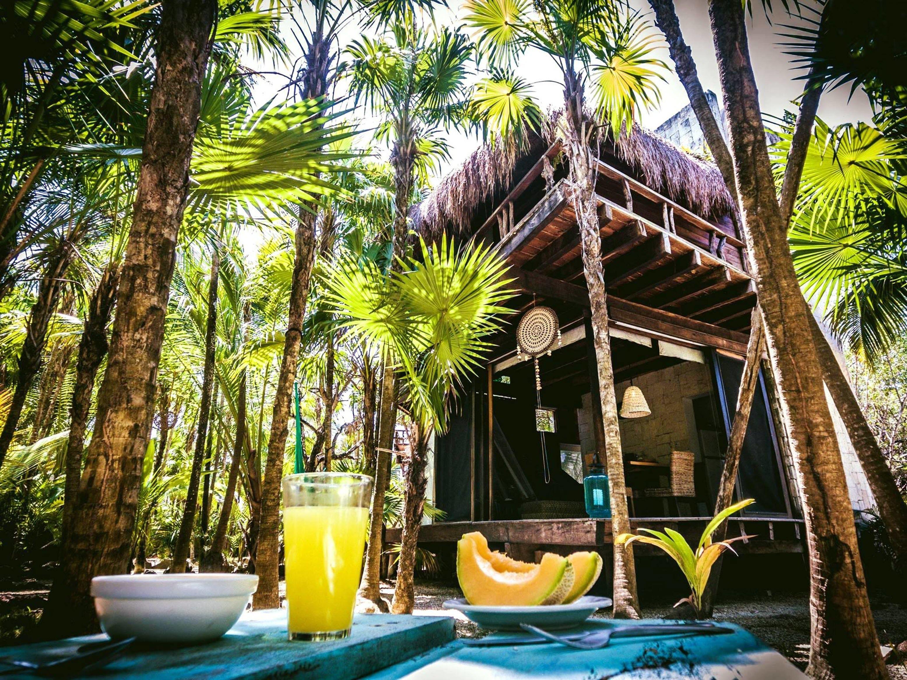 Lodge Vida Silvestre