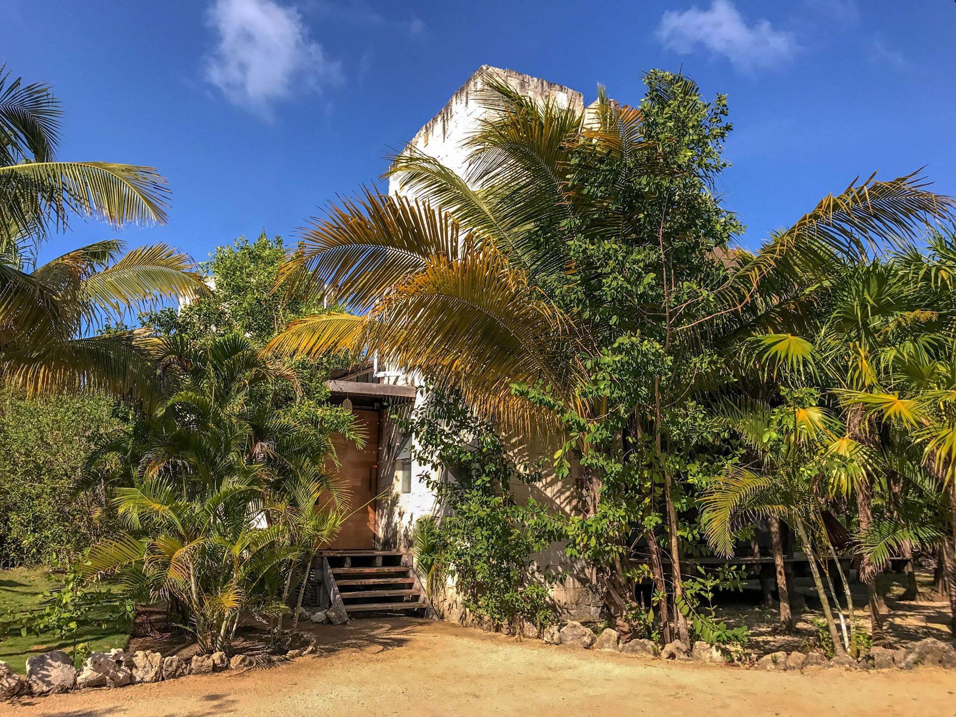 Lodge Vida Silvestre *