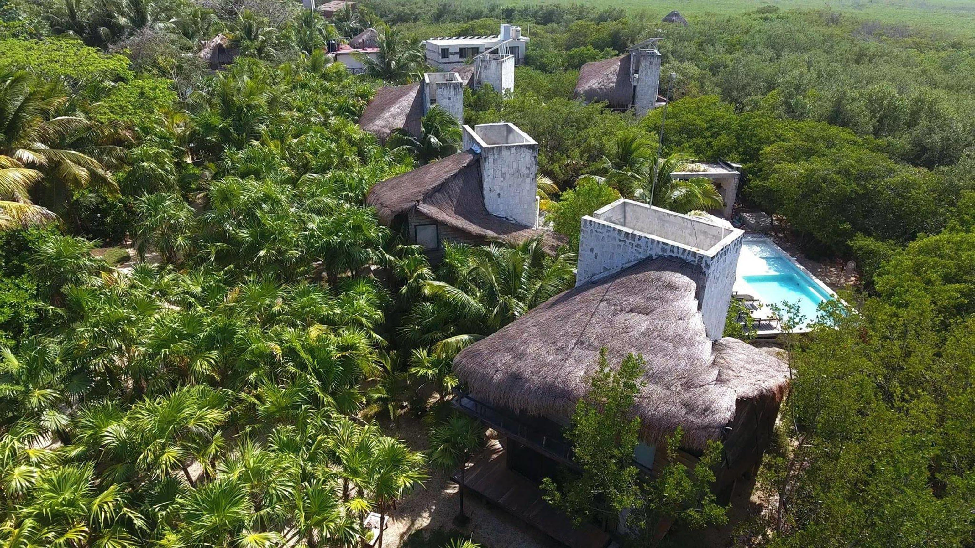 Vida Silvestre Tulum