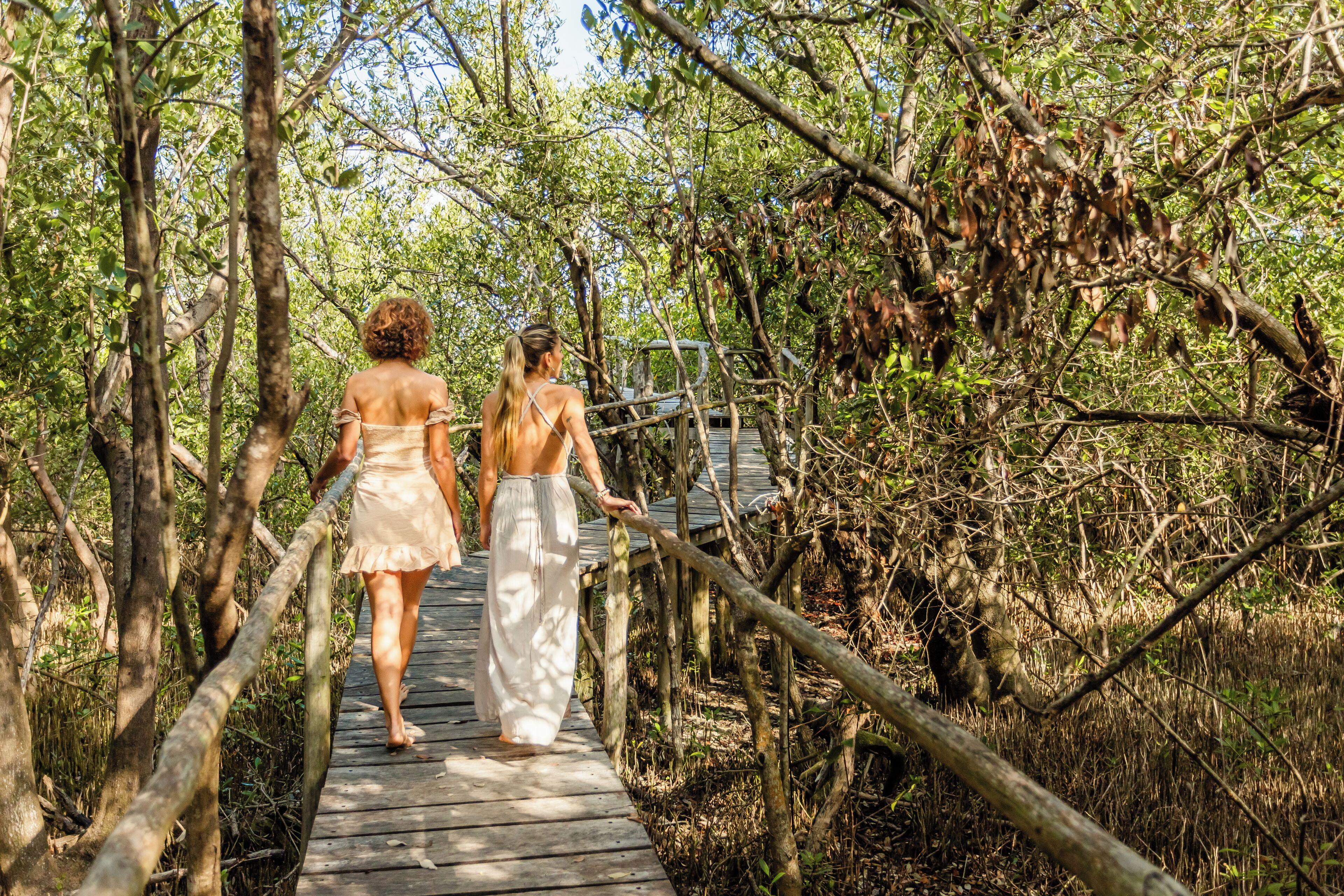 Lodge Vida Silvestre Tulum