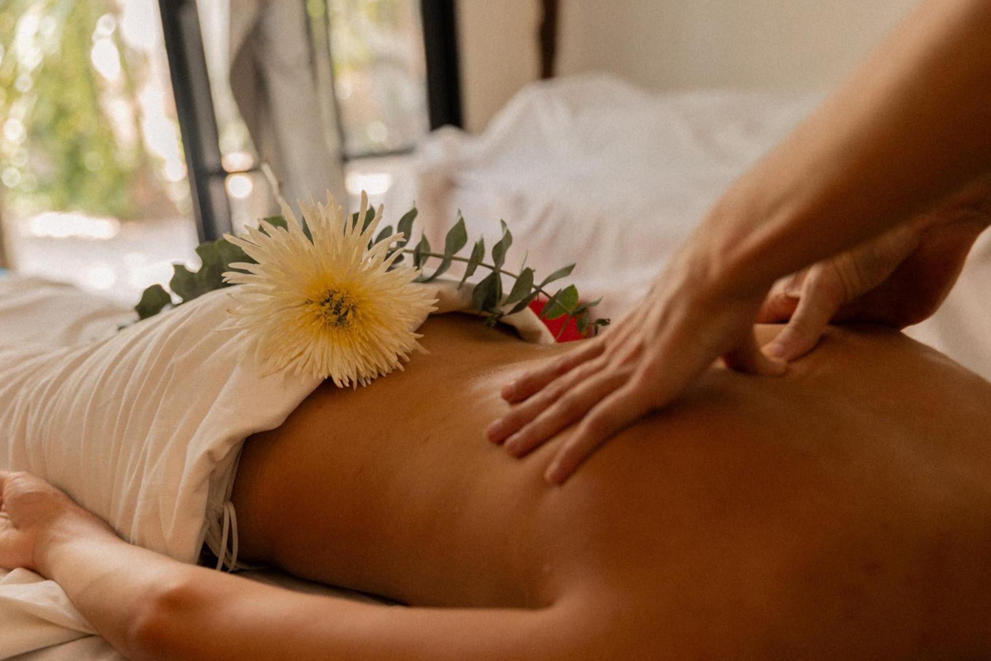 Cormoran & Cenote Hotel