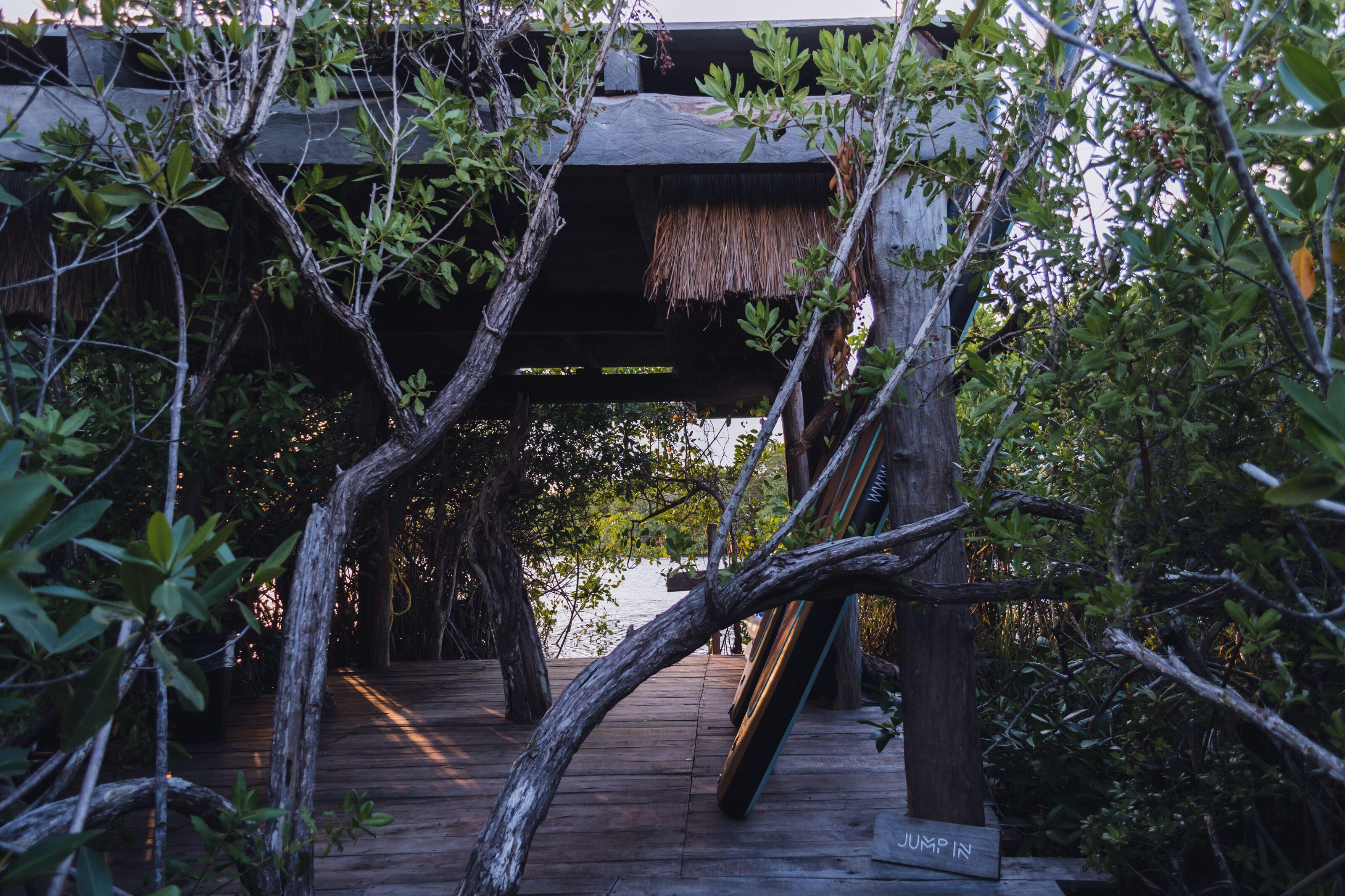Hotel Nativus Glamping & Cenote Tulum