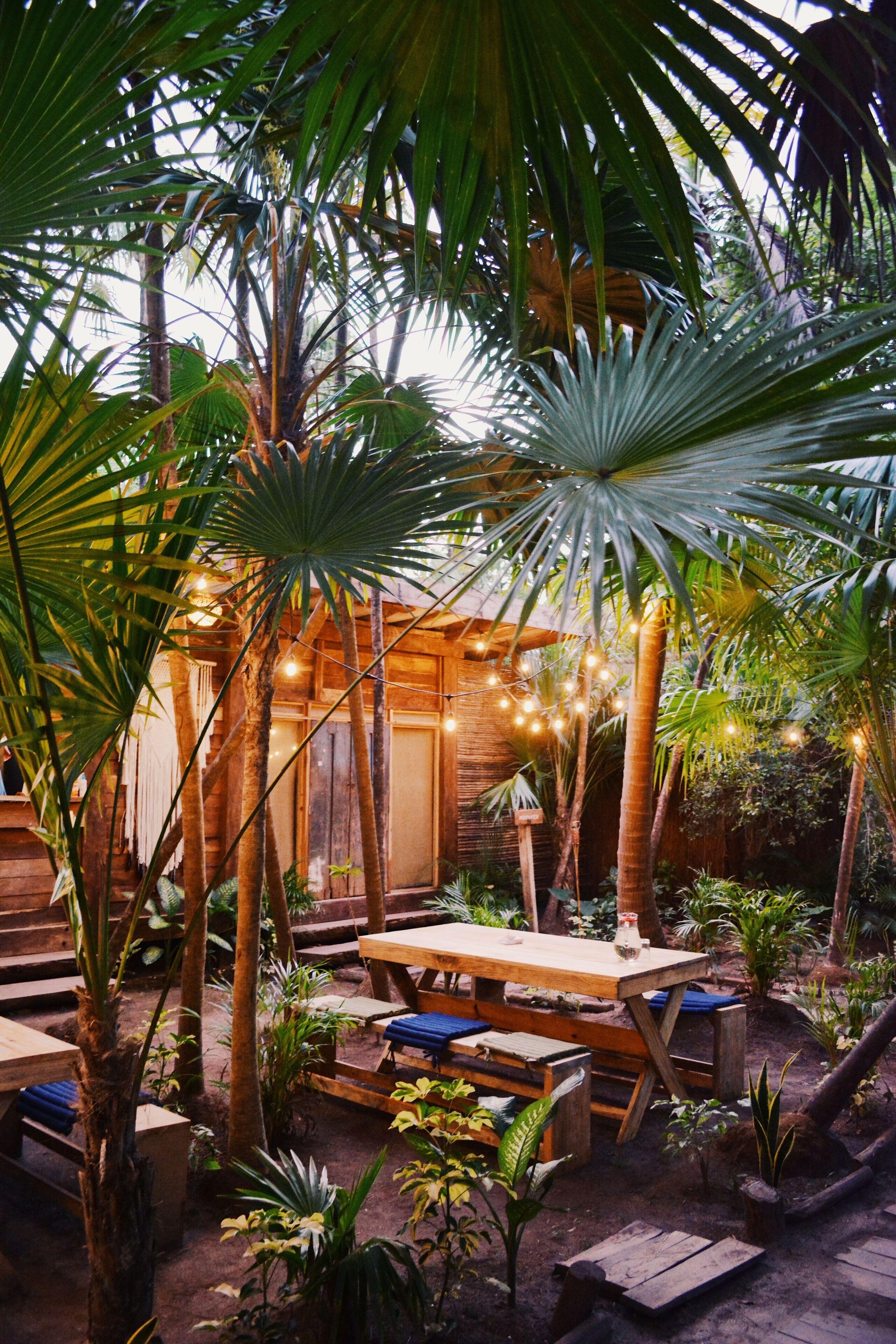 Nativus Glamping & Cenote 3*