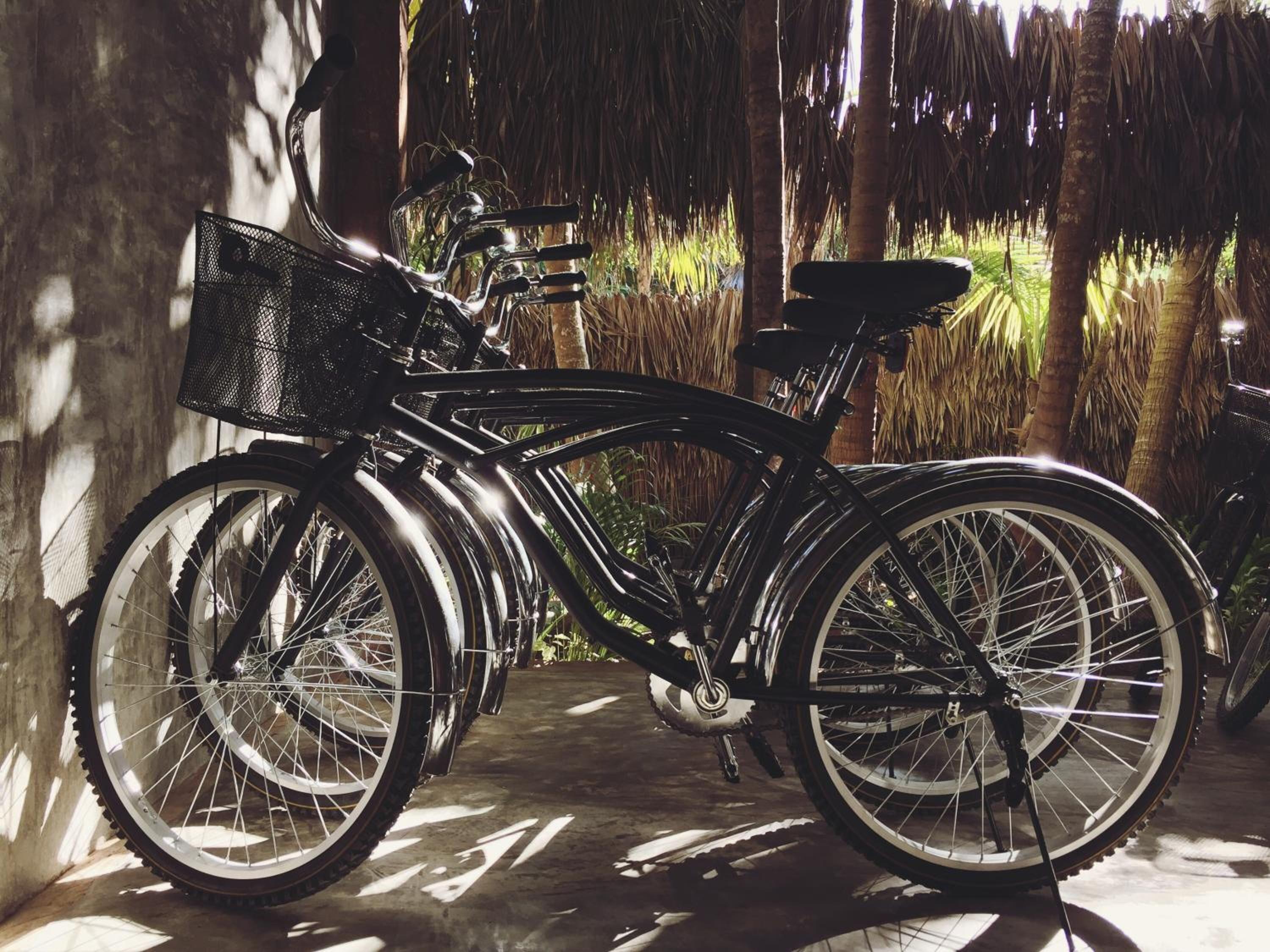 Nativus Glamping & Cenote 3*