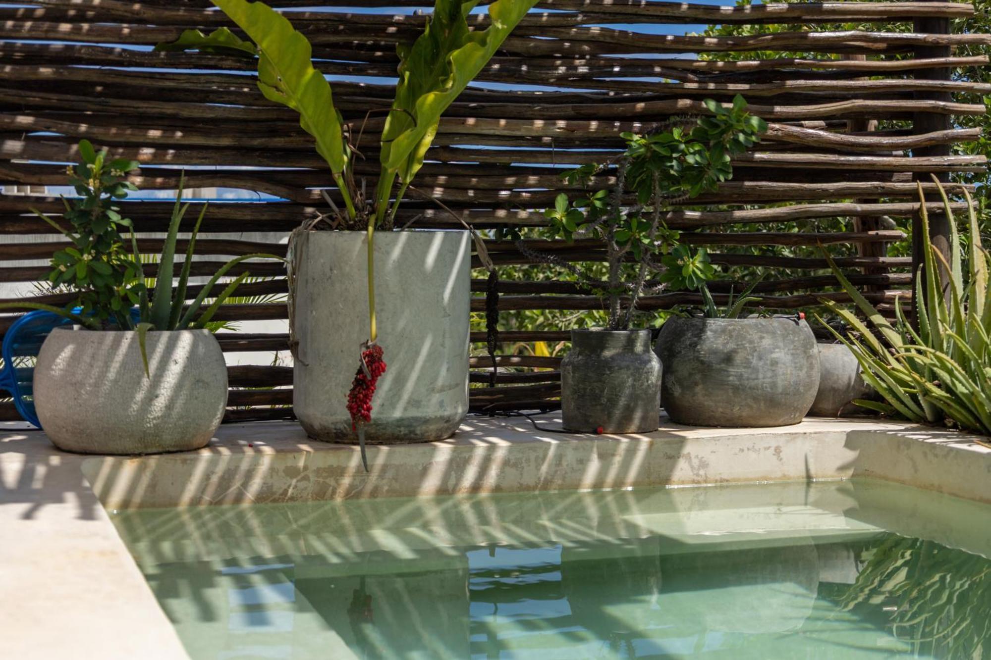 Apartment Teva Tulum, Aldea Zama *