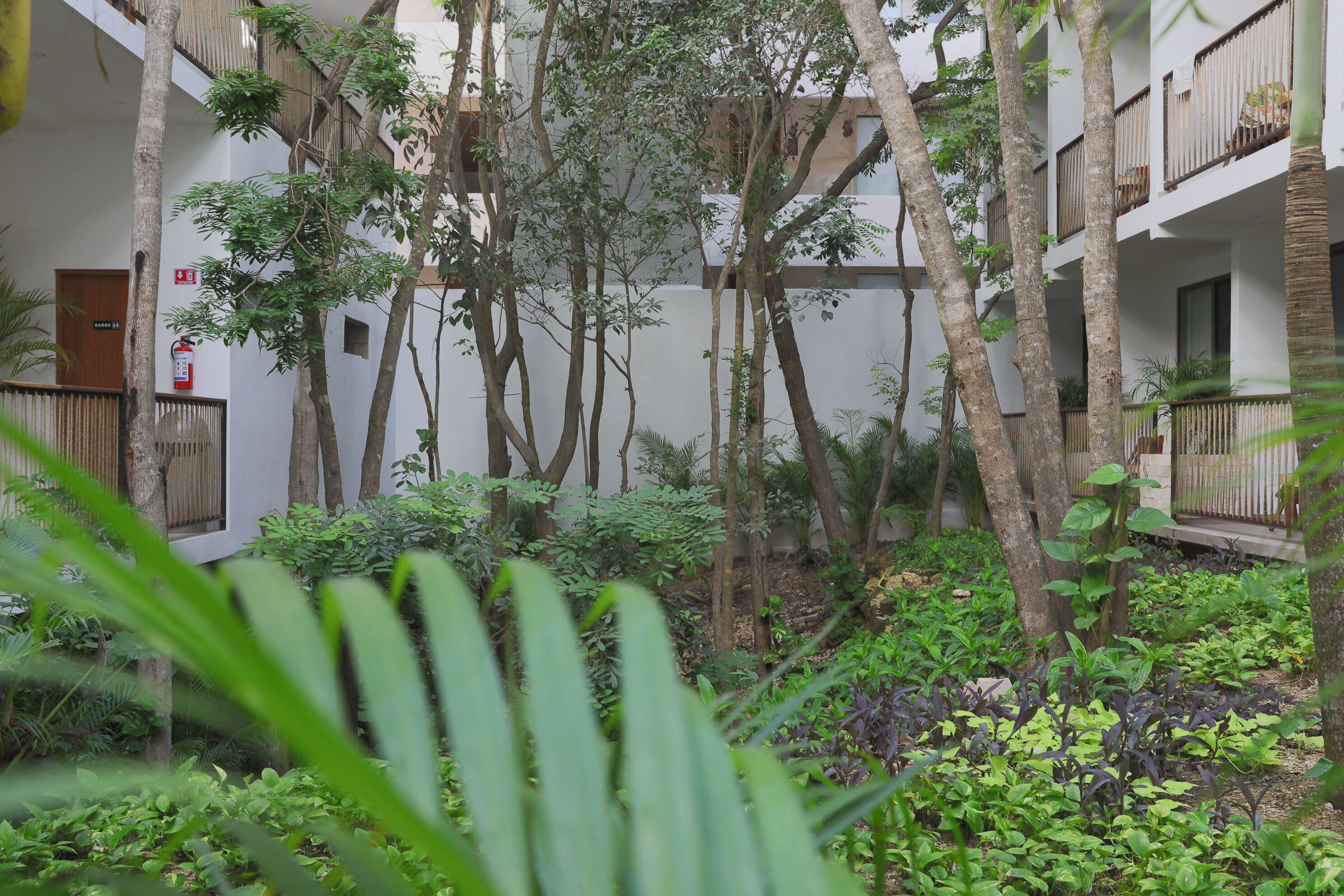 Blanco Adults Only 3* Tulum