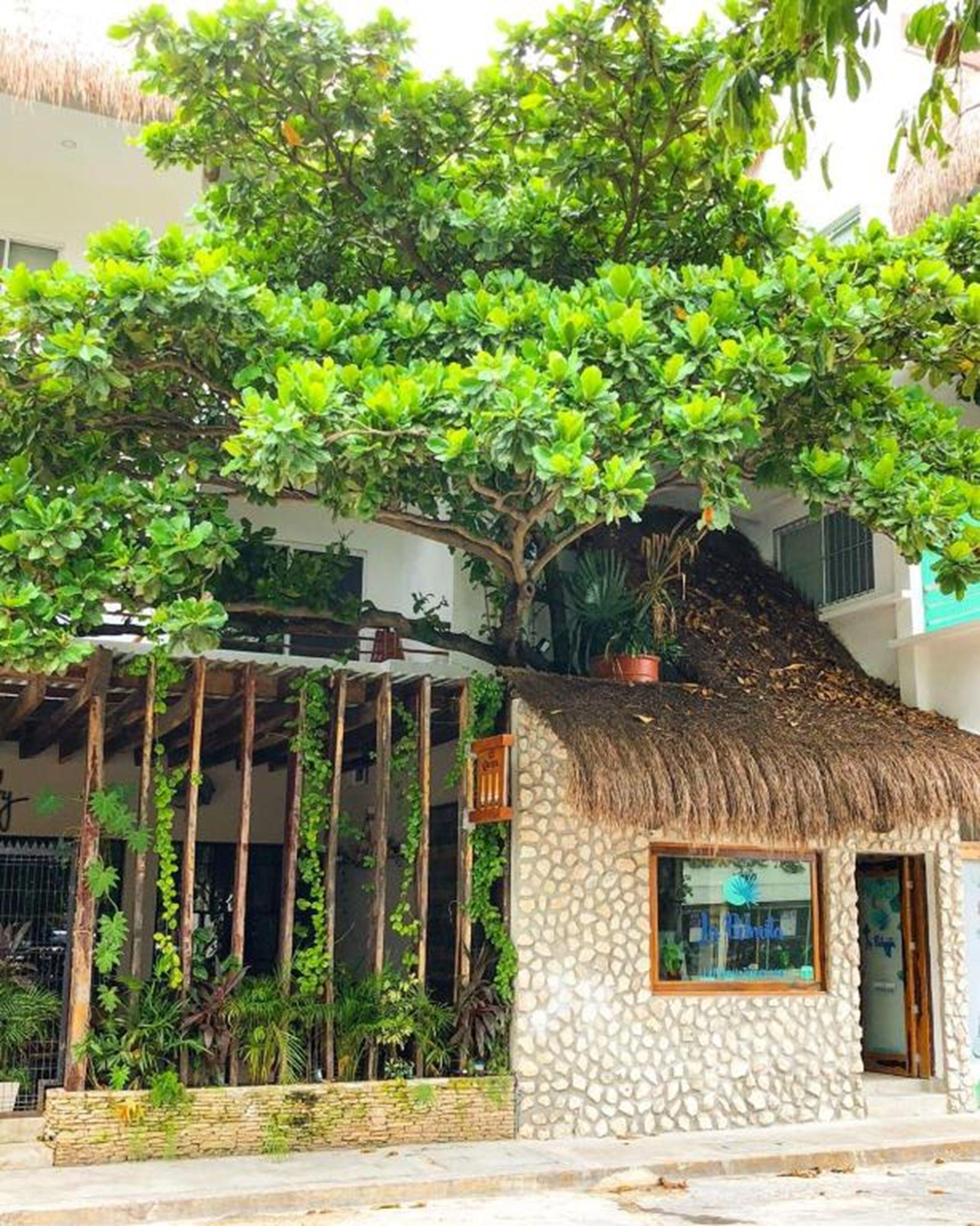 La Palmita By Mij Hotel 3*