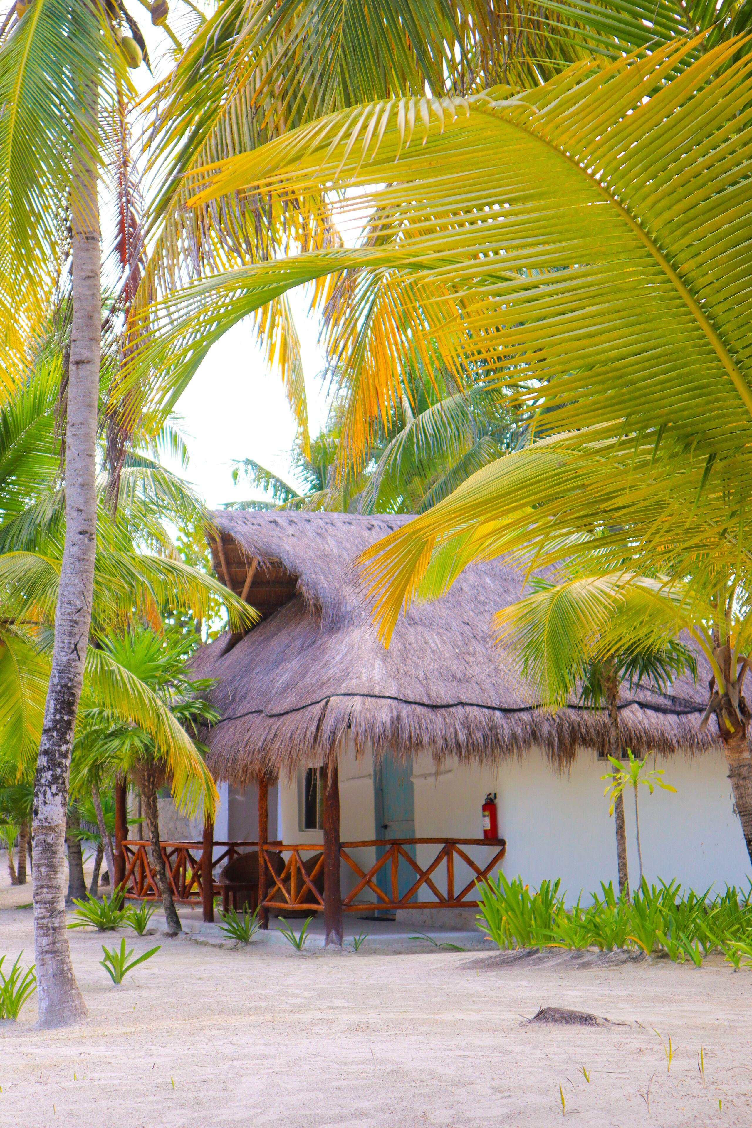 Hotel Alito