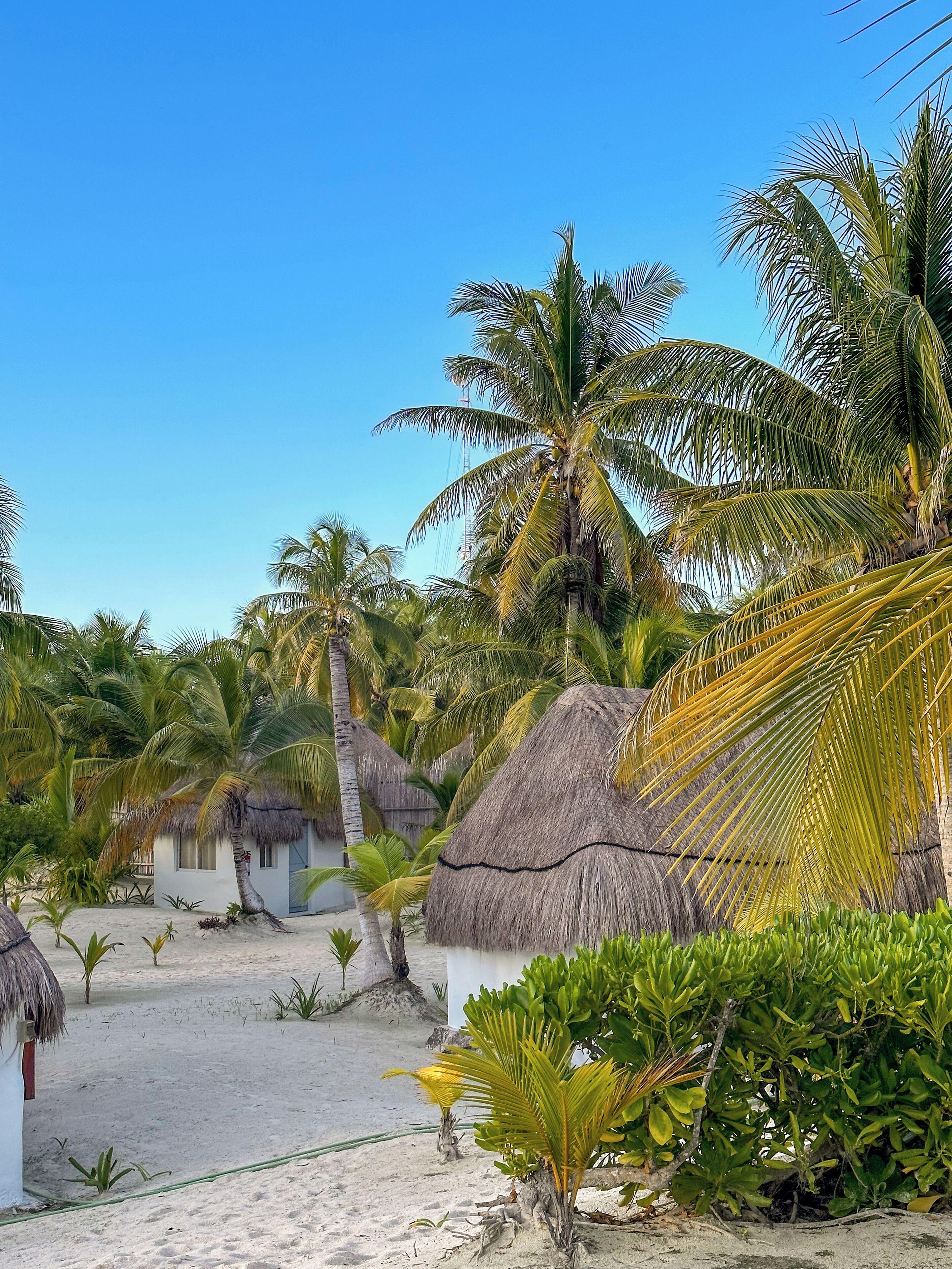 Alito Hotel Tulum