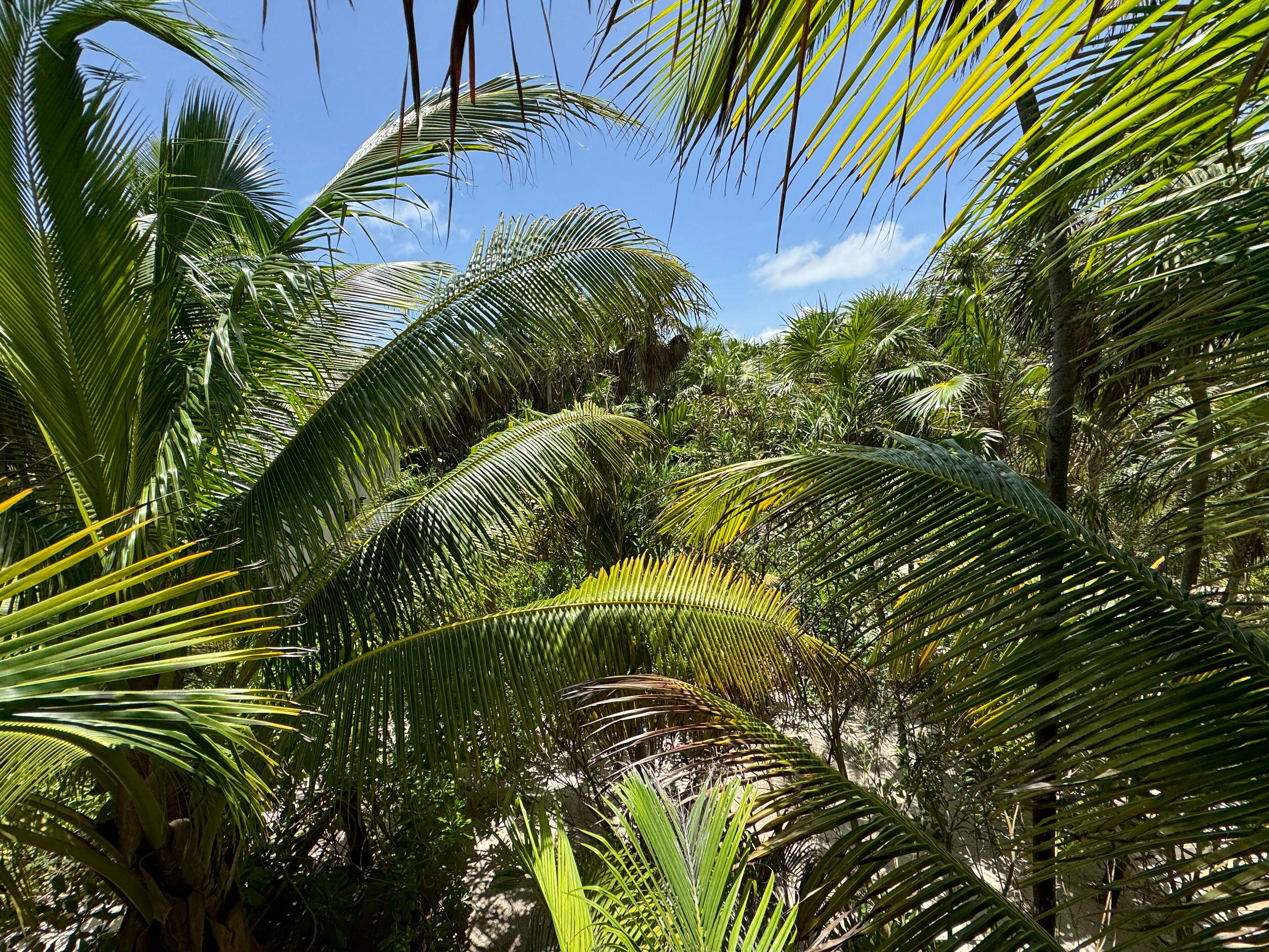 Casa Gitano Hotel Tulum