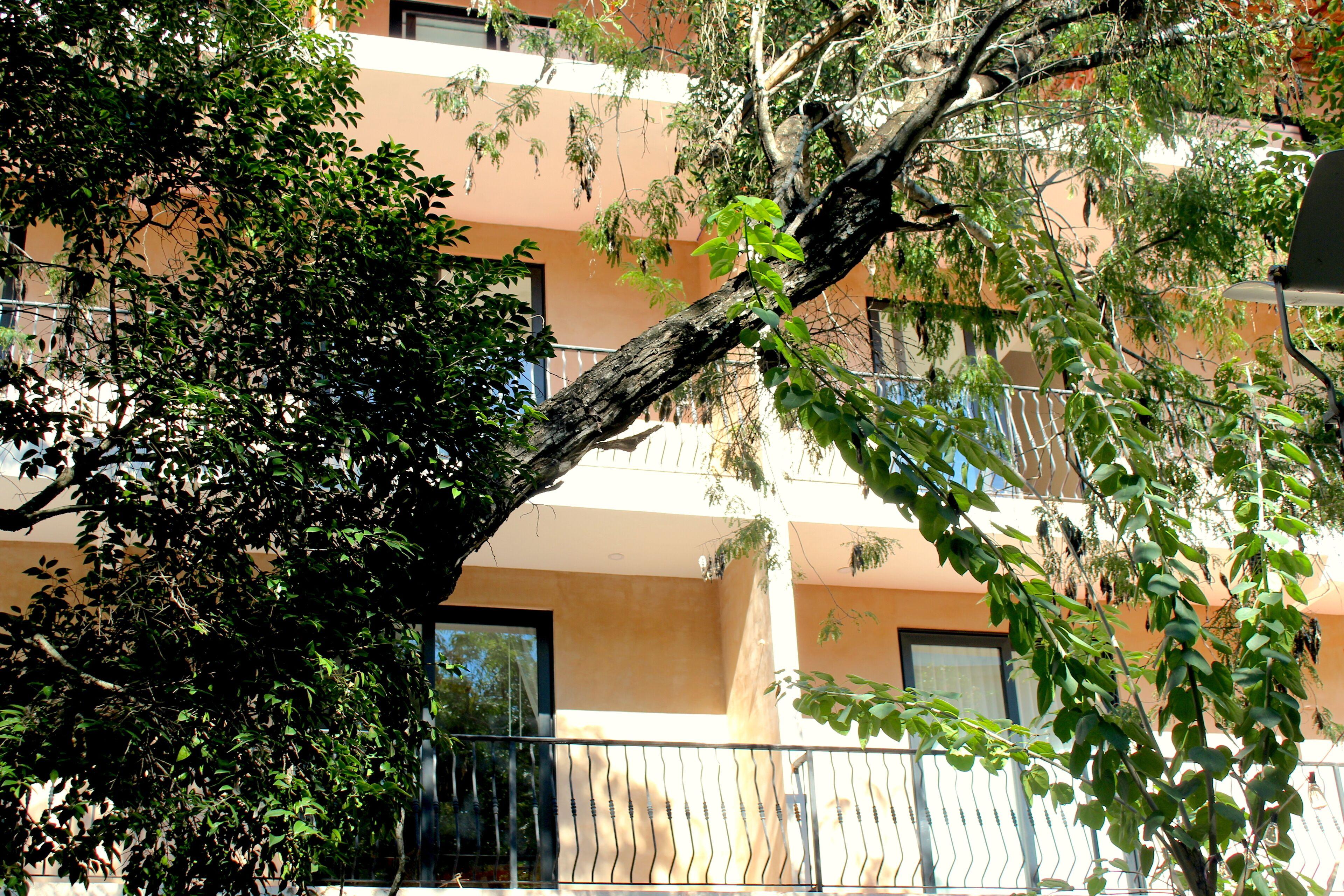 Calea Boutique Hotel Tulum