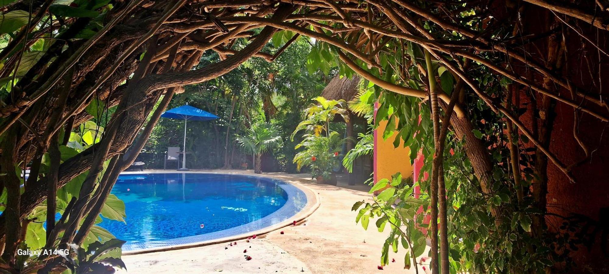 Casa Don Diego Bed & Breakfast Tulum