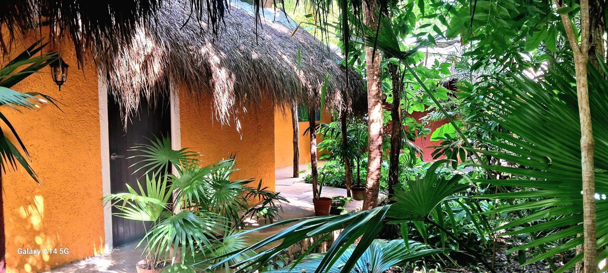 Bed & Breakfast Casa Don Diego 4*