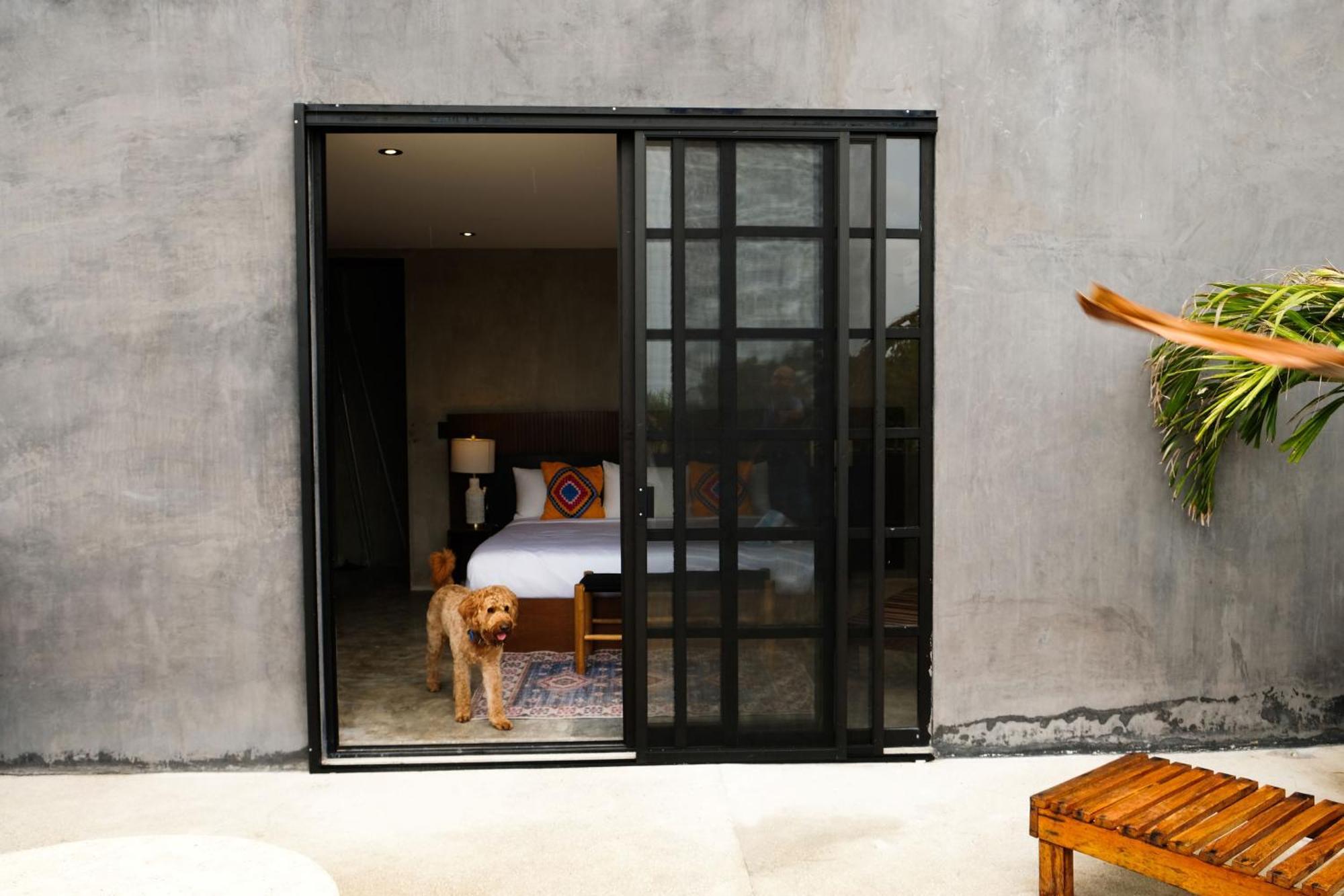 Hotel Turquoise (adults Only) Tulum