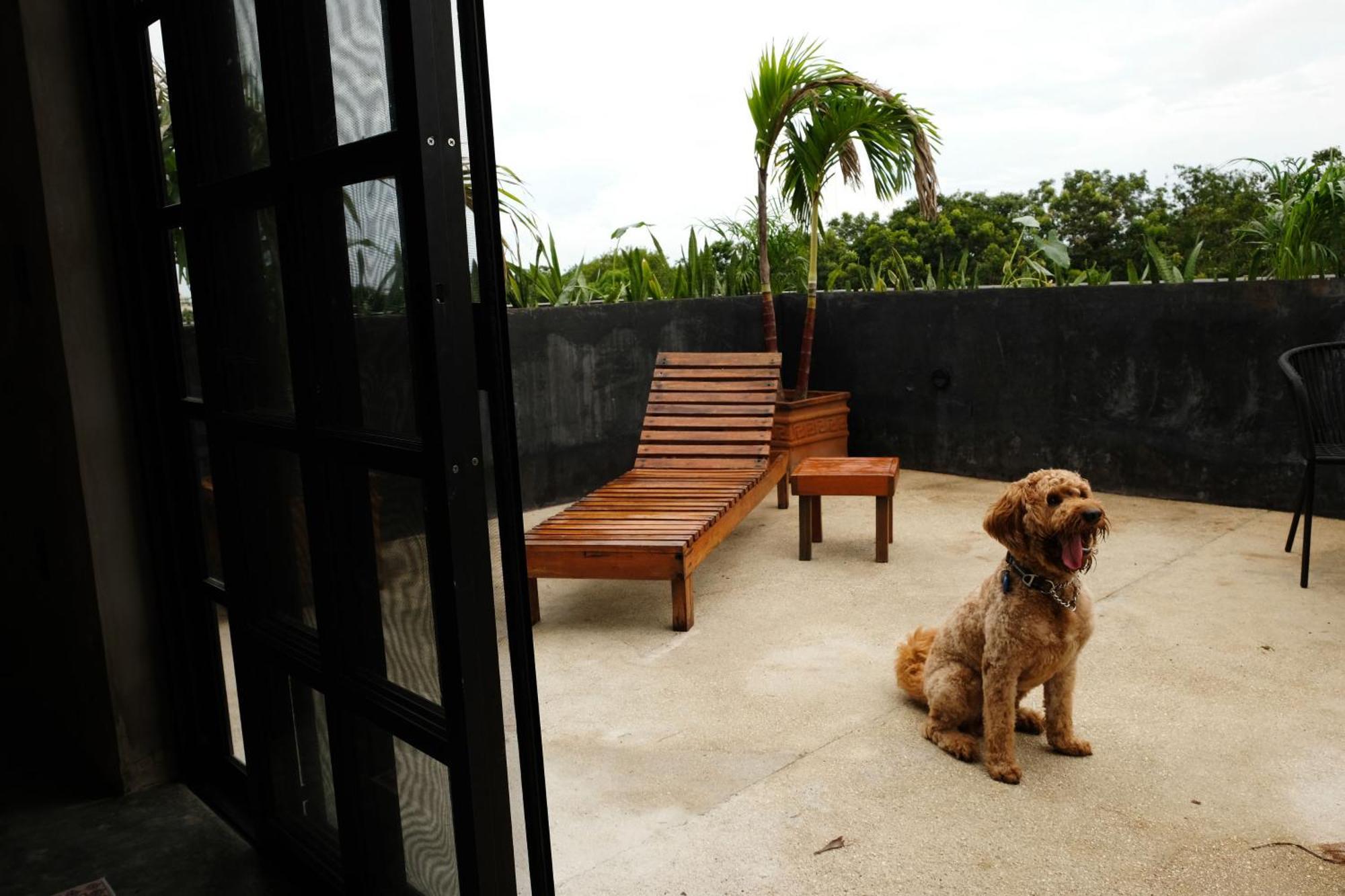 Turquoise (adults Only) 3* Tulum