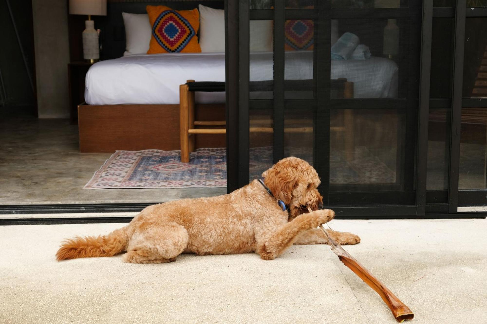 Hotel Turquoise (adults Only) Tulum