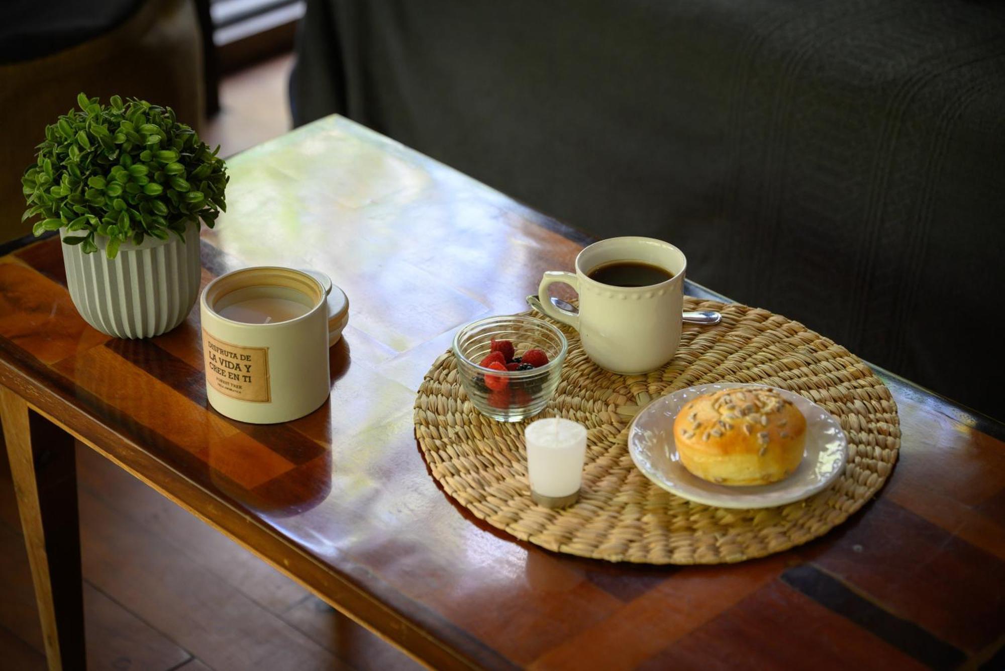 Vida Silvestre * Tulum