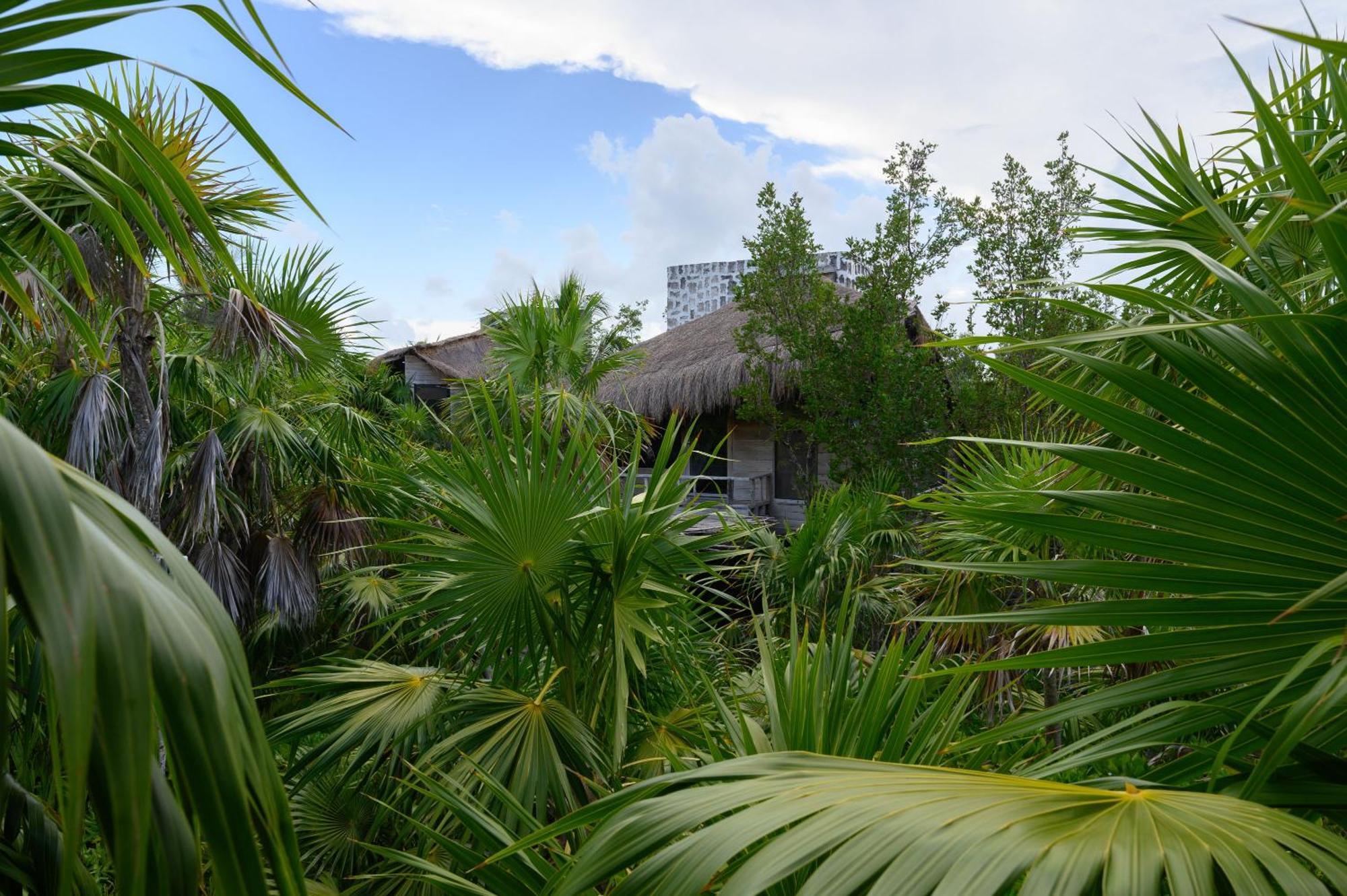 Vida Silvestre Lodge *