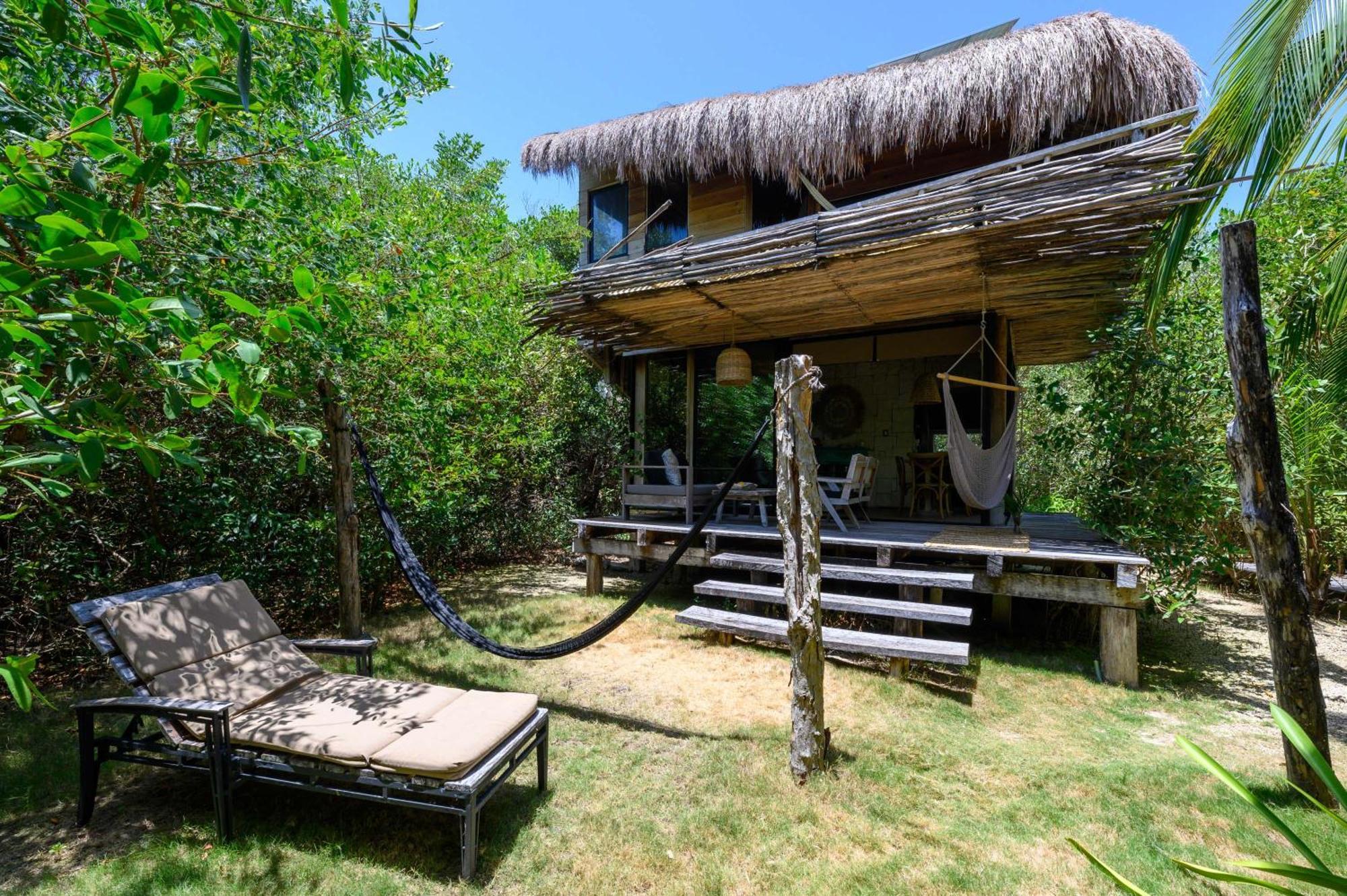 Vida Silvestre * Tulum