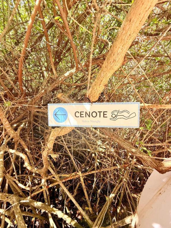 - Aldea Mangle & Cenote Lodge