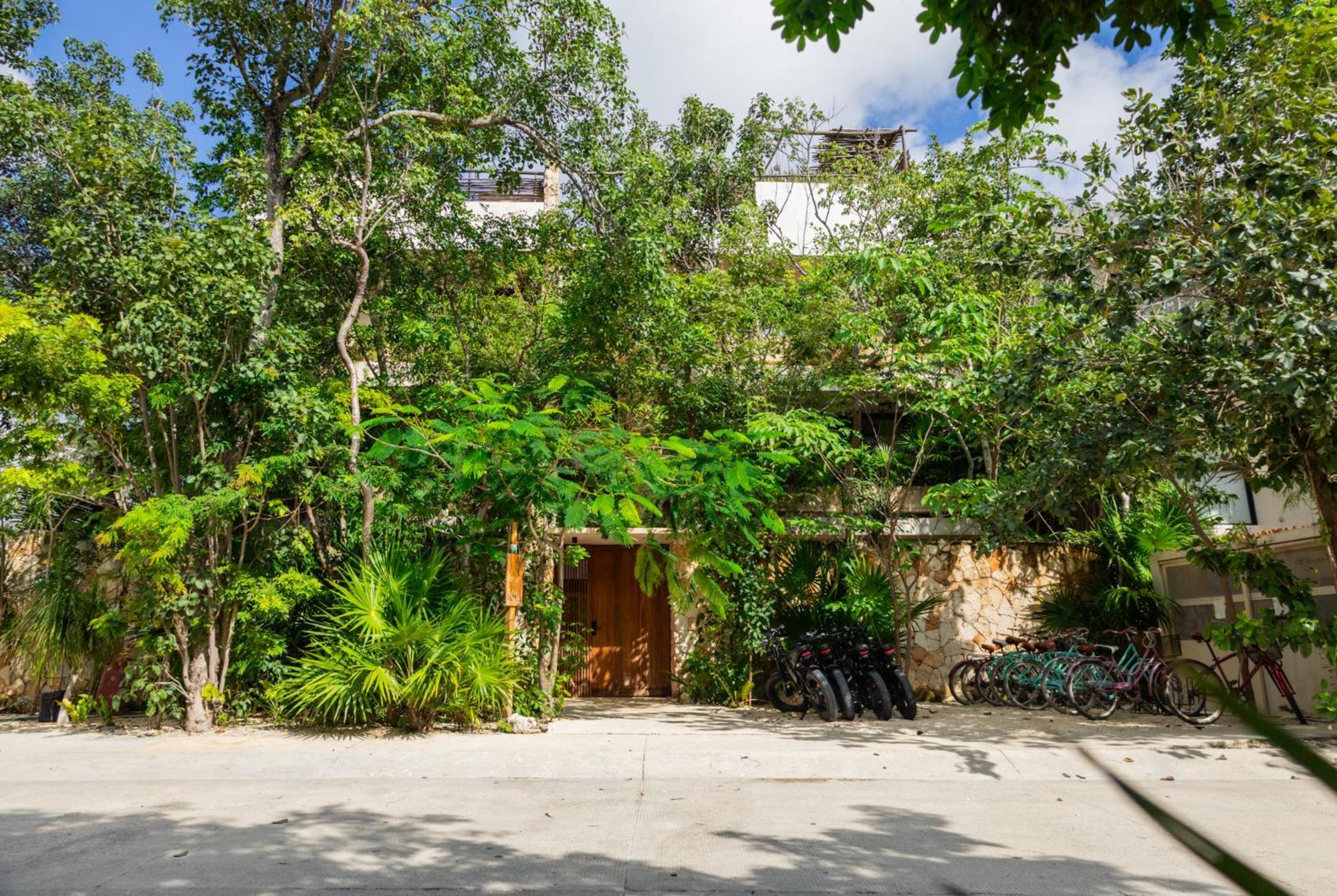 Teva Tulum, Aldea Zama