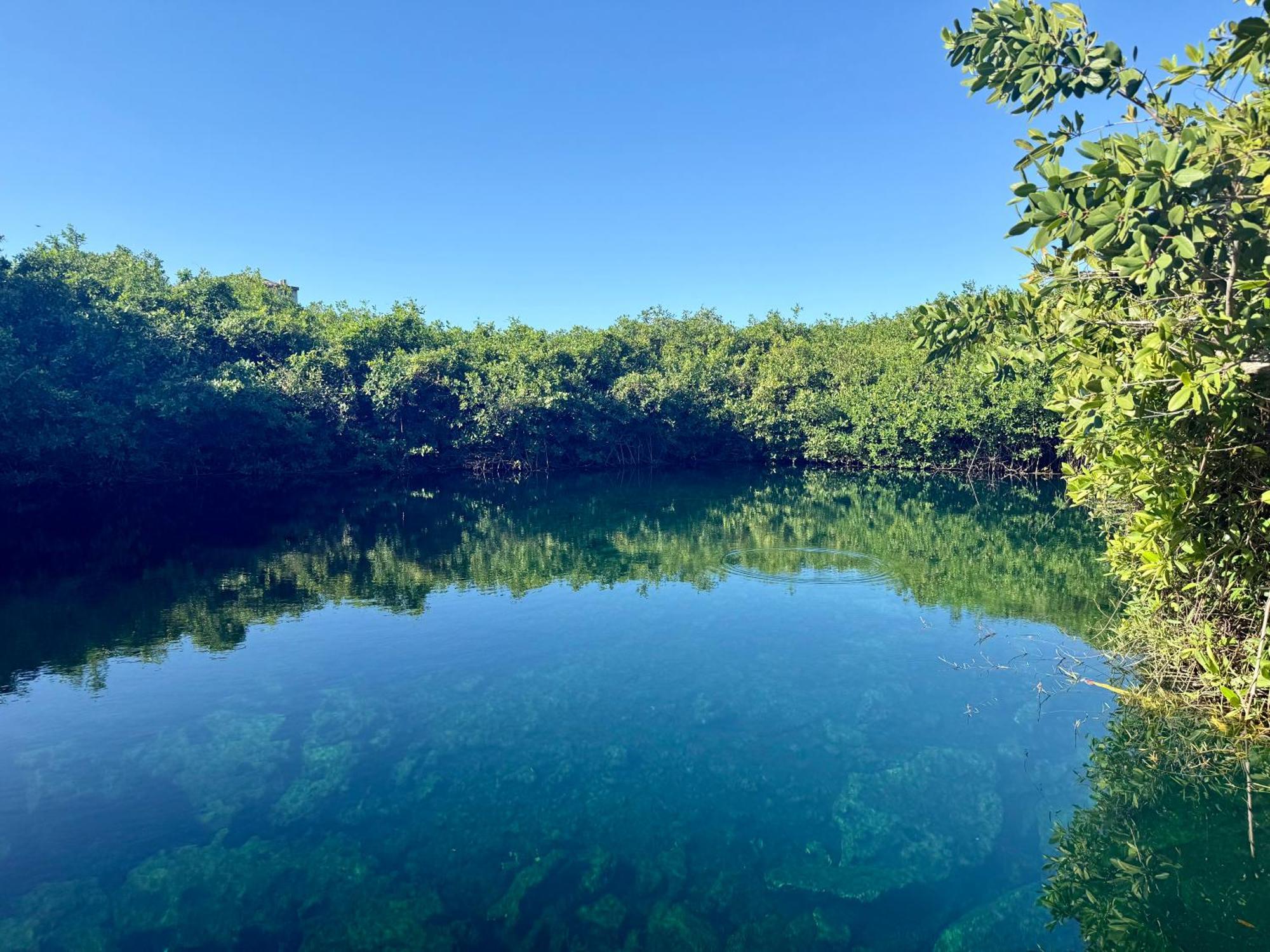 Apartment Garden Luxe *