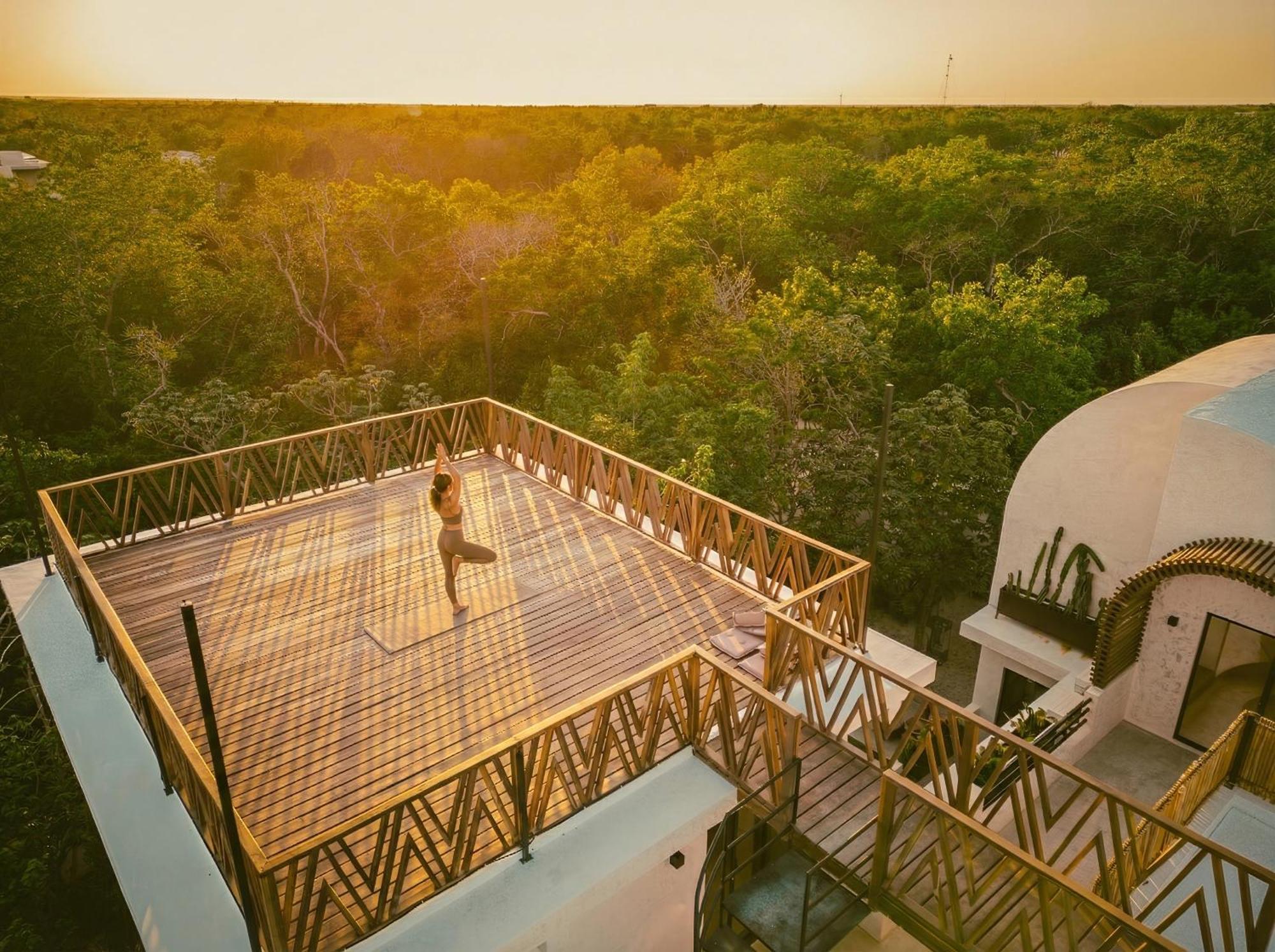 Casa Tira - Your Luxury Jungle Mansion In Villa