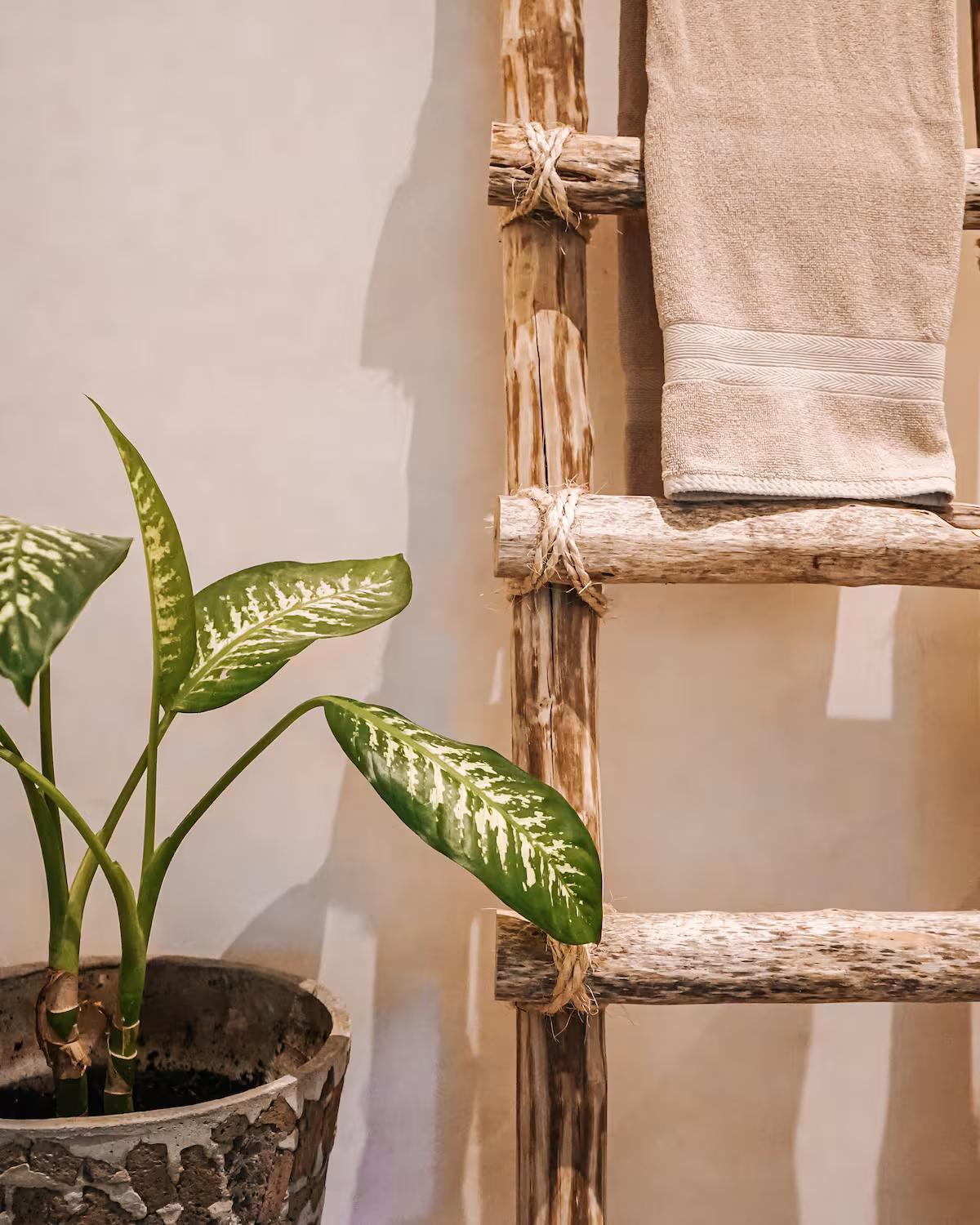 Casa Tira - Your Luxury Jungle Mansion In Villa *