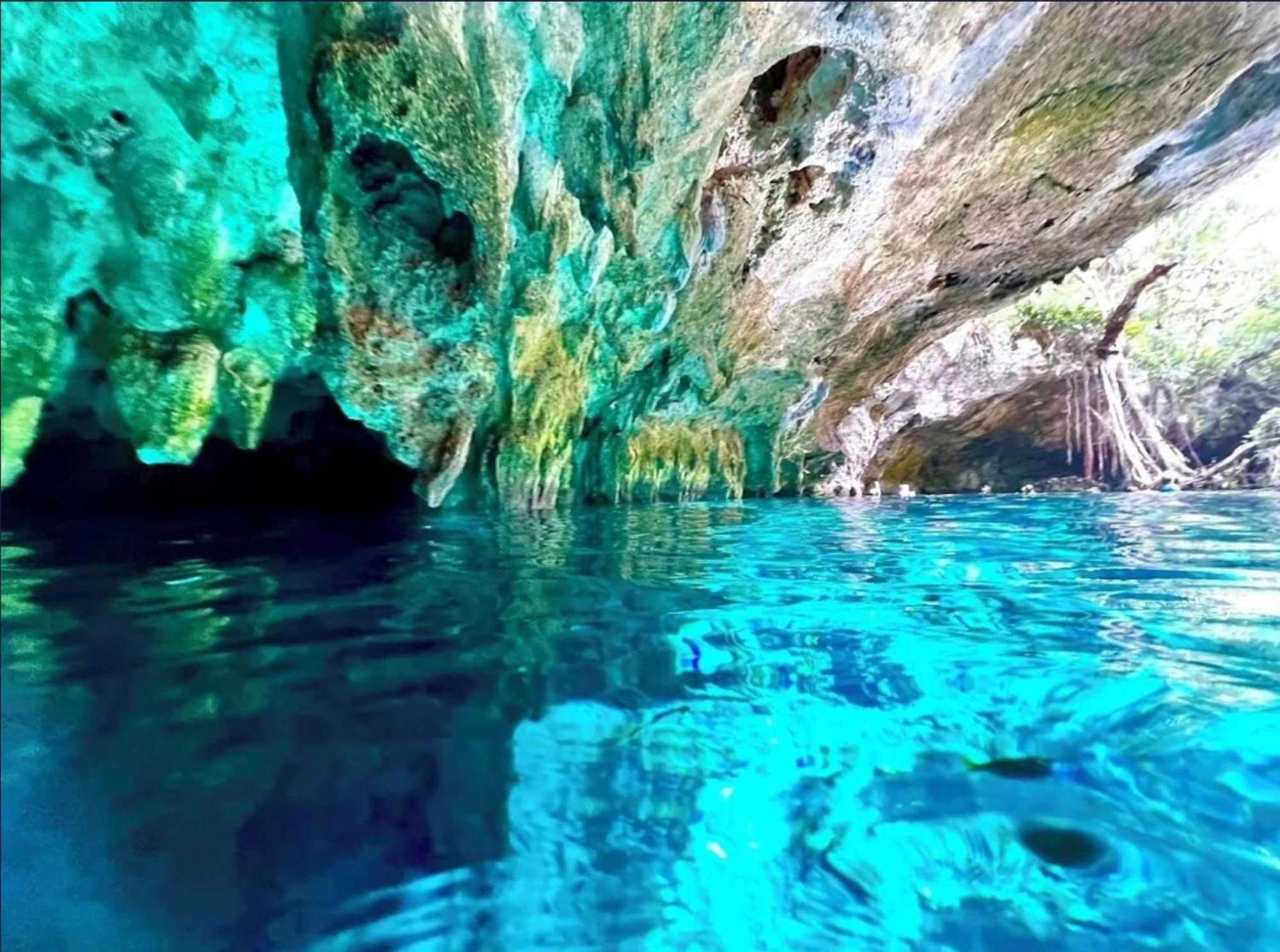 New Luxury 4-bedroom With Private Pool & Access - Barney's Ny Villa Tulum