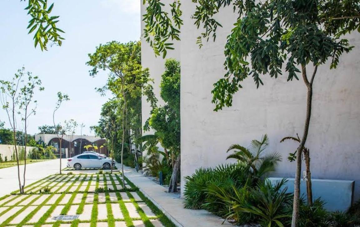 Apartment Elegante Estudio En Ophelia