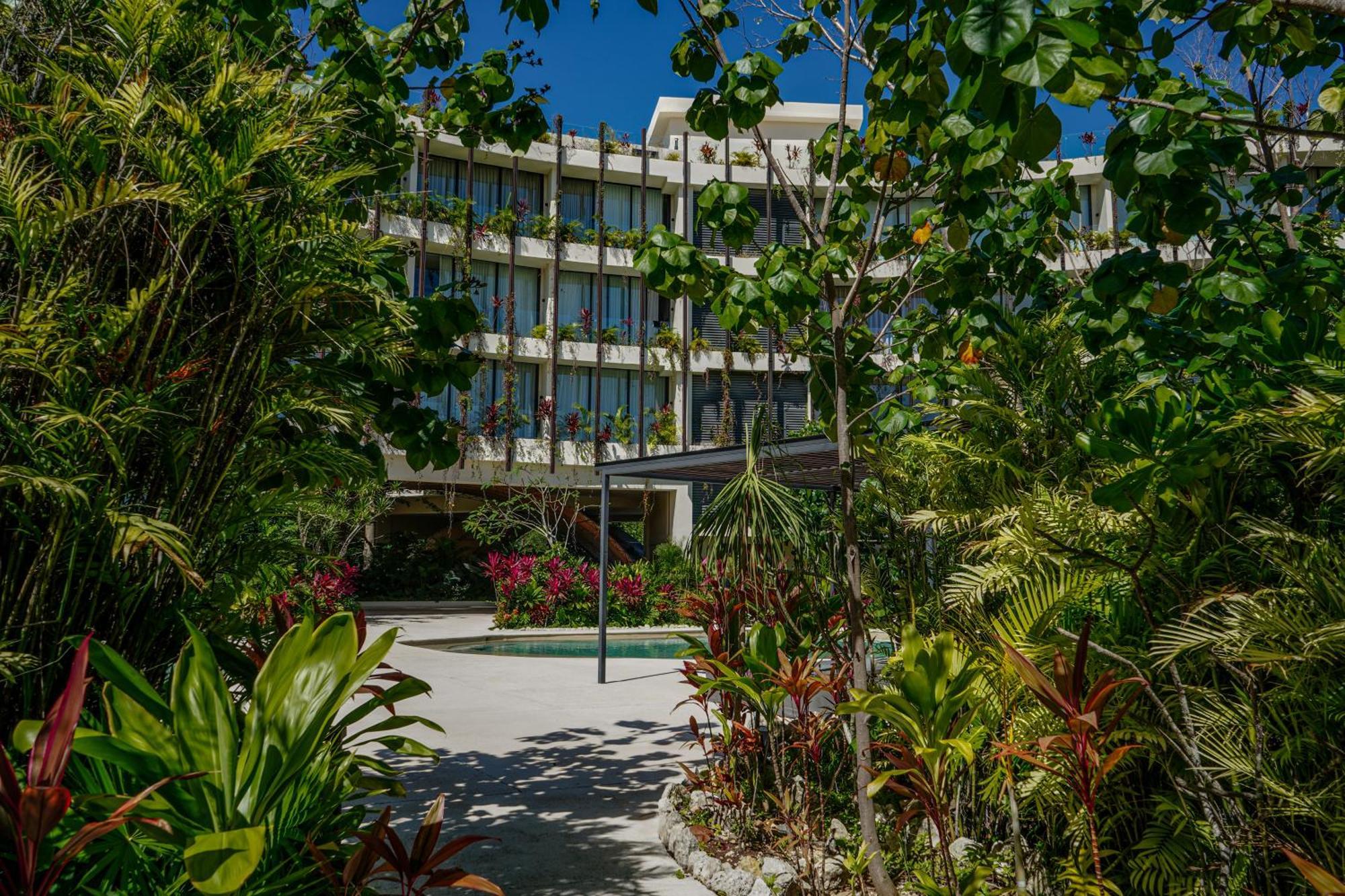 Oasis Jungle Views, 4 Pools & Near * Tulum