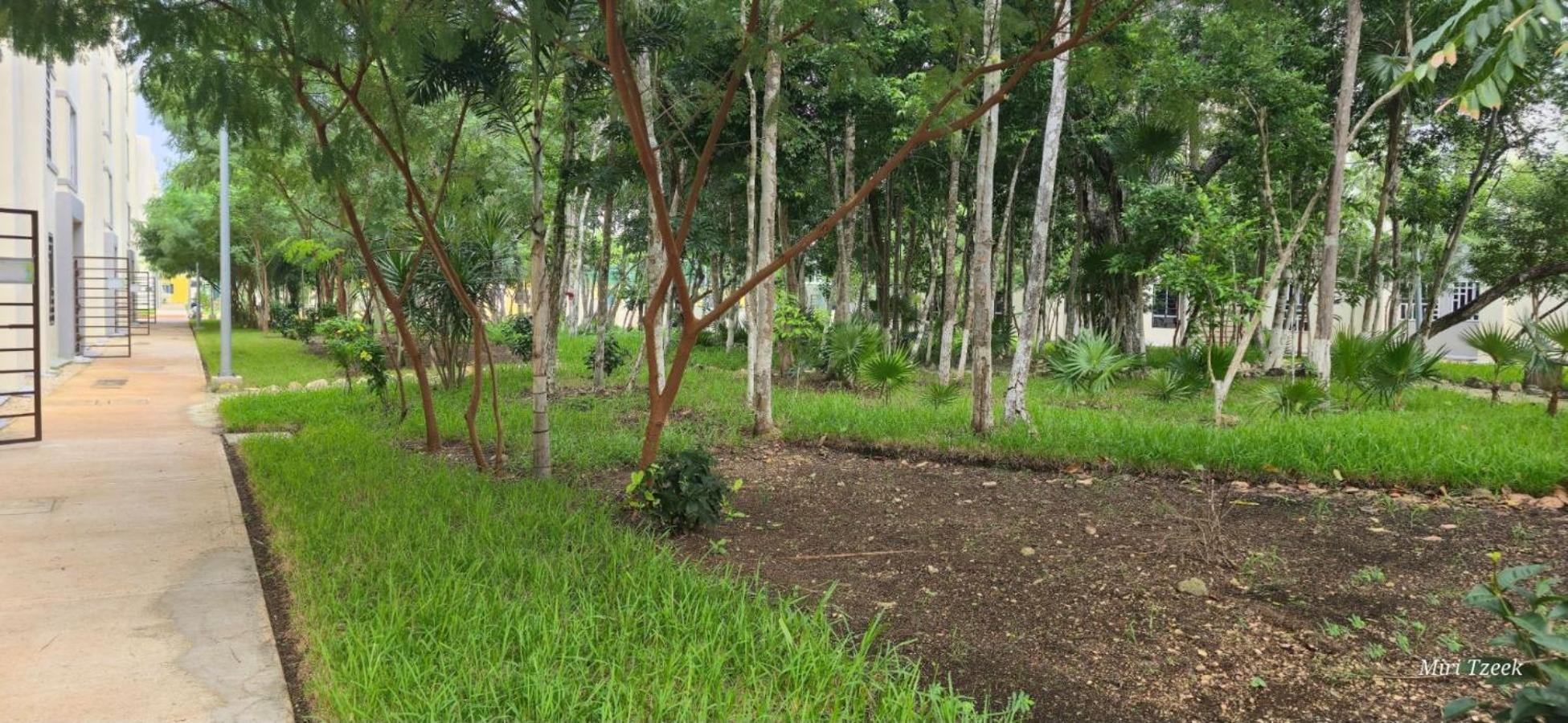Casa Luhami Apartment Tulum