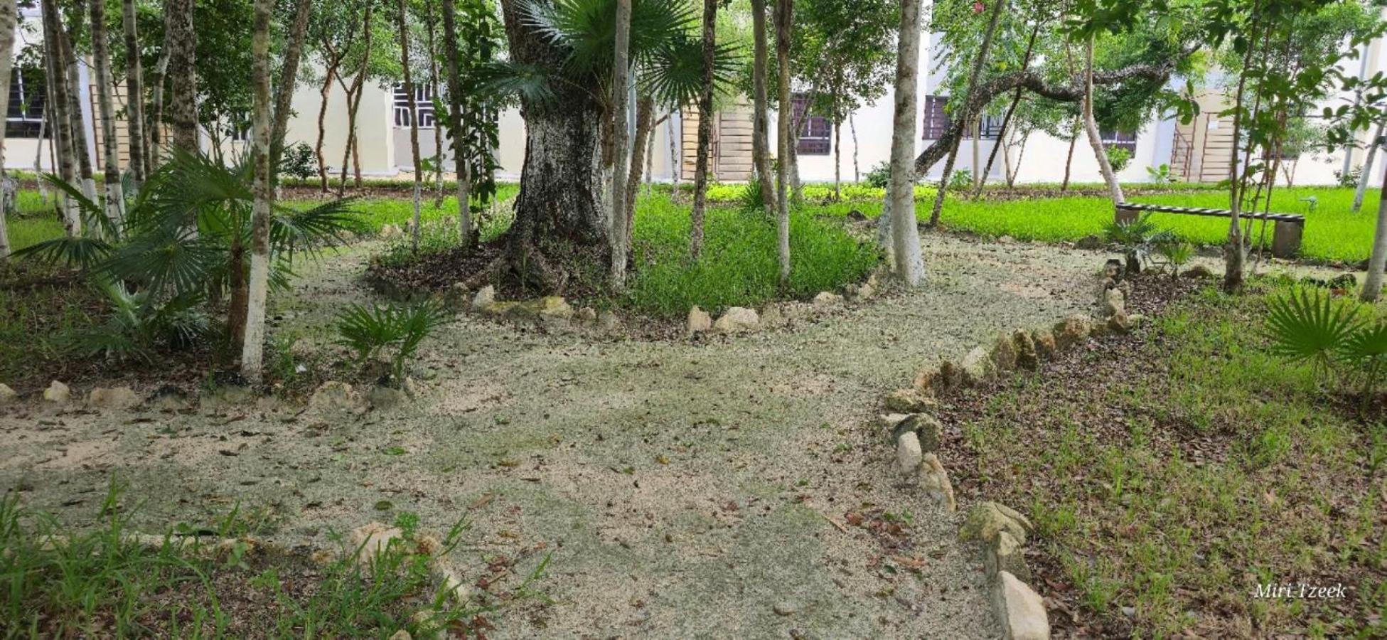 Casa Luhami Apartment *