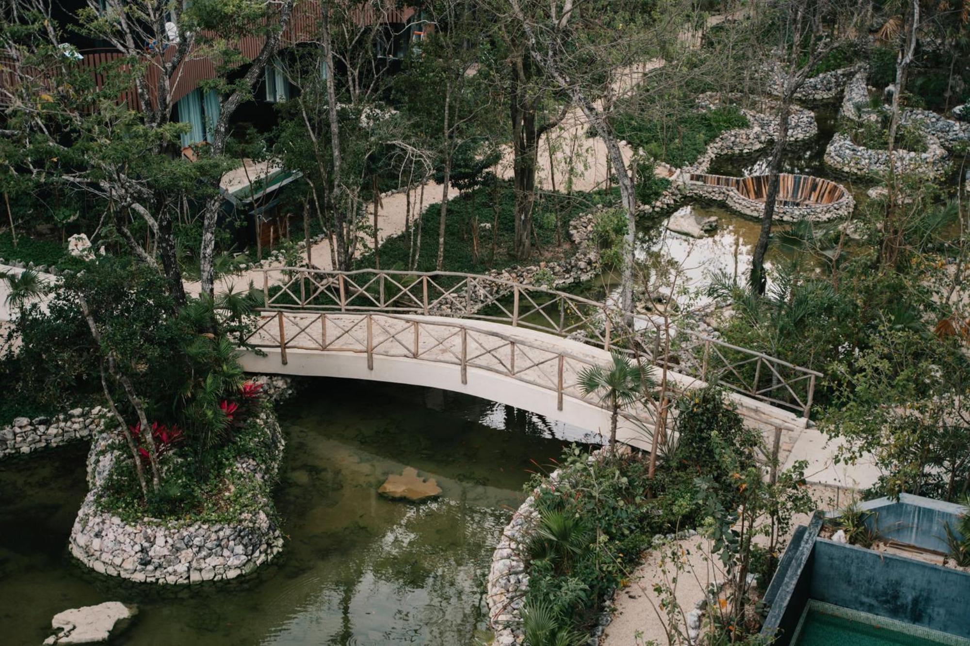 Apartment Bright 2br Amira District Gem With Shared Pool Tulum