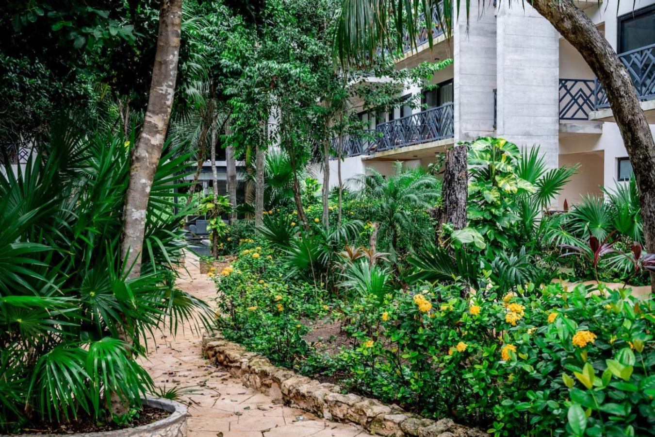 Retreat Pool Gym & Great Location Apartment Tulum