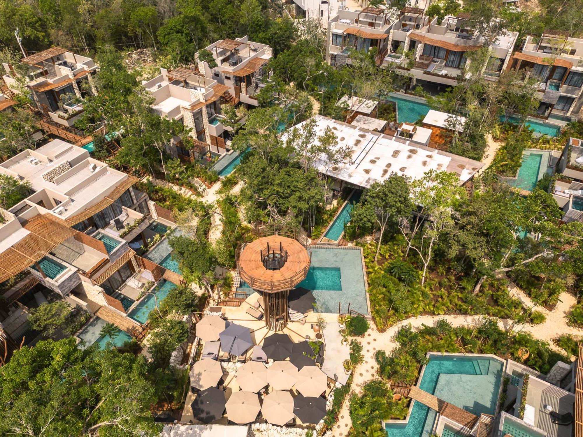 Siwa Jungle-luxury 2br Retreat With Private Roofto Apartment