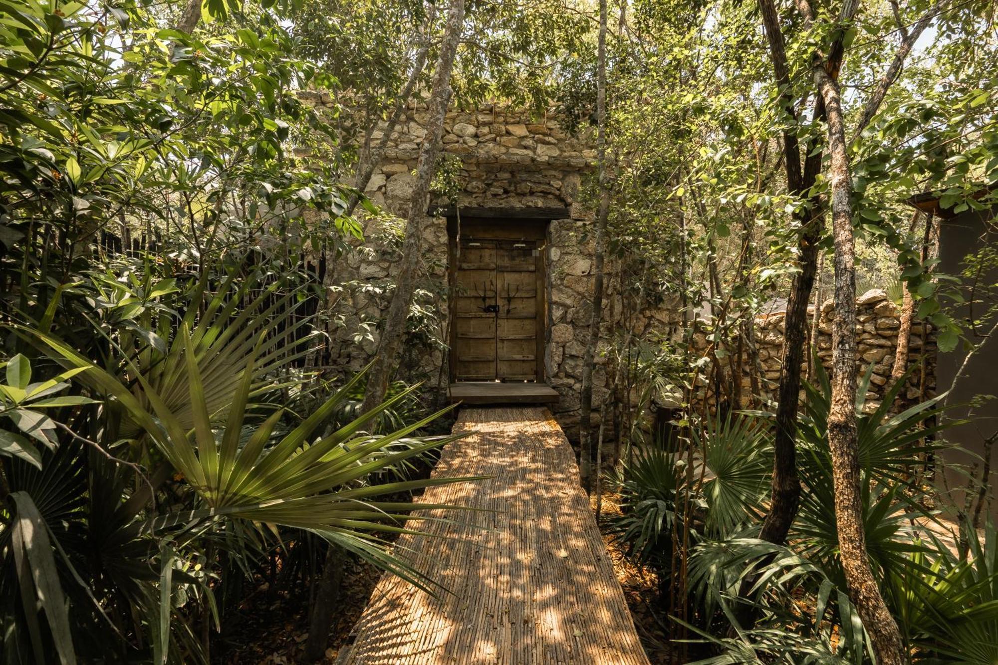 Apartment Siwa Jungle-luxury 2br Retreat With Private Roofto