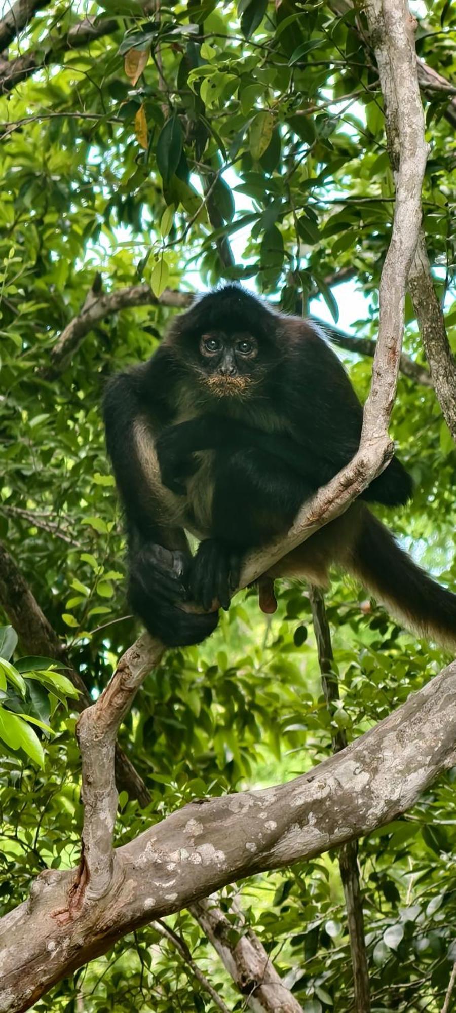 Energy Holistic Ranch Hotel