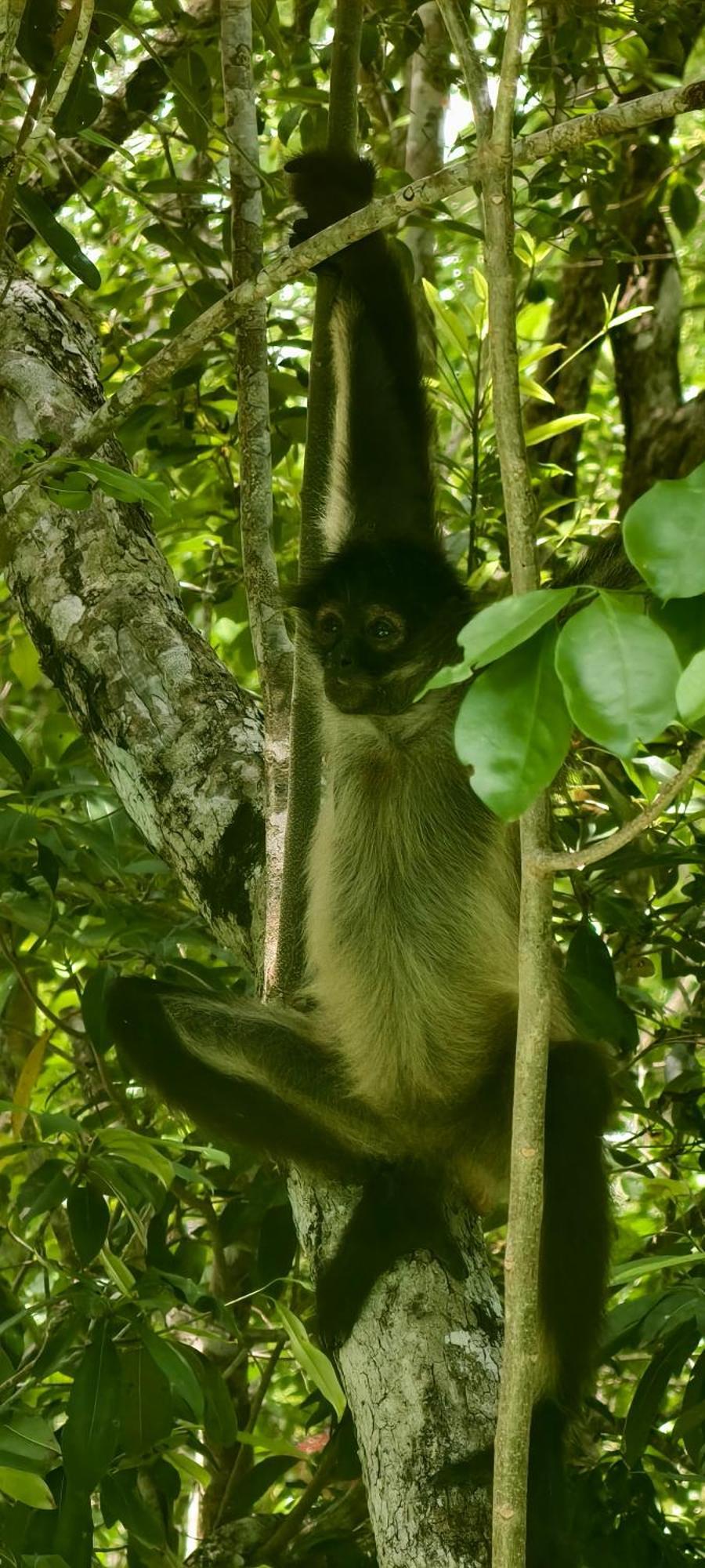 Energy Holistic Ranch Hotel *